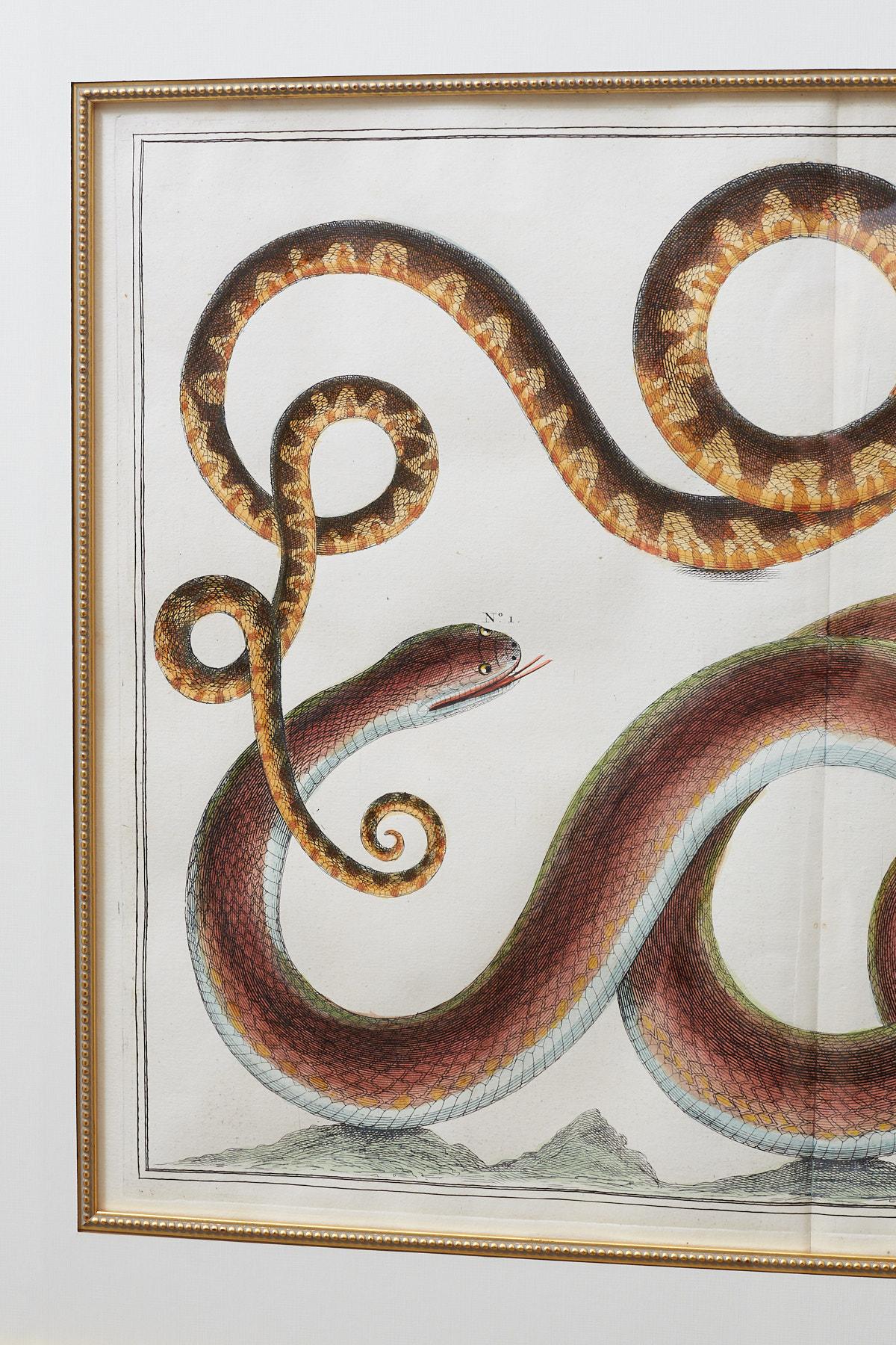 snake print set