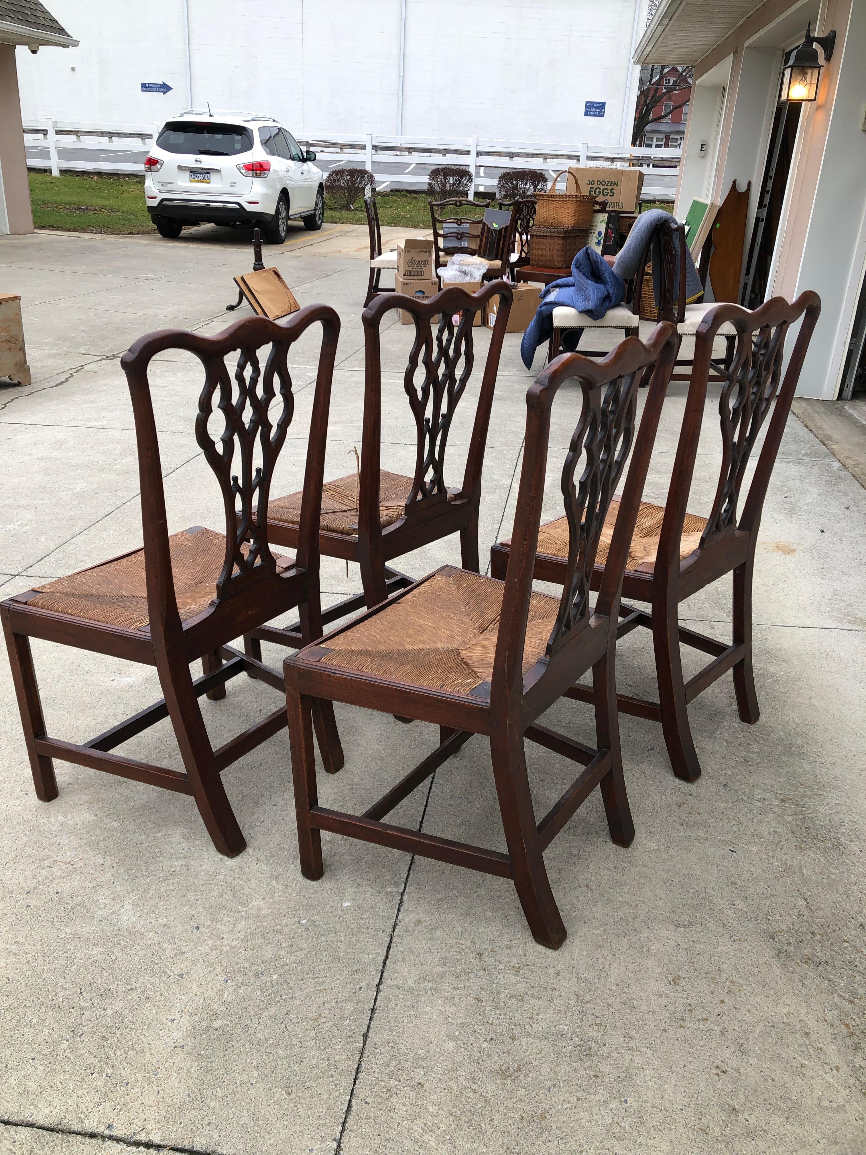 Set of Four American Chippendale Walnut Side Chairs, Slip Rush Seats, circa 1770 For Sale 4