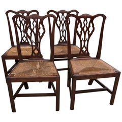 Set of Four American Chippendale Walnut Side Chairs, Slip Rush Seats, circa 1770