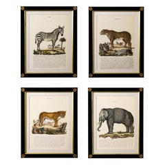 Vintage Set of Four Animal Print Book Plates