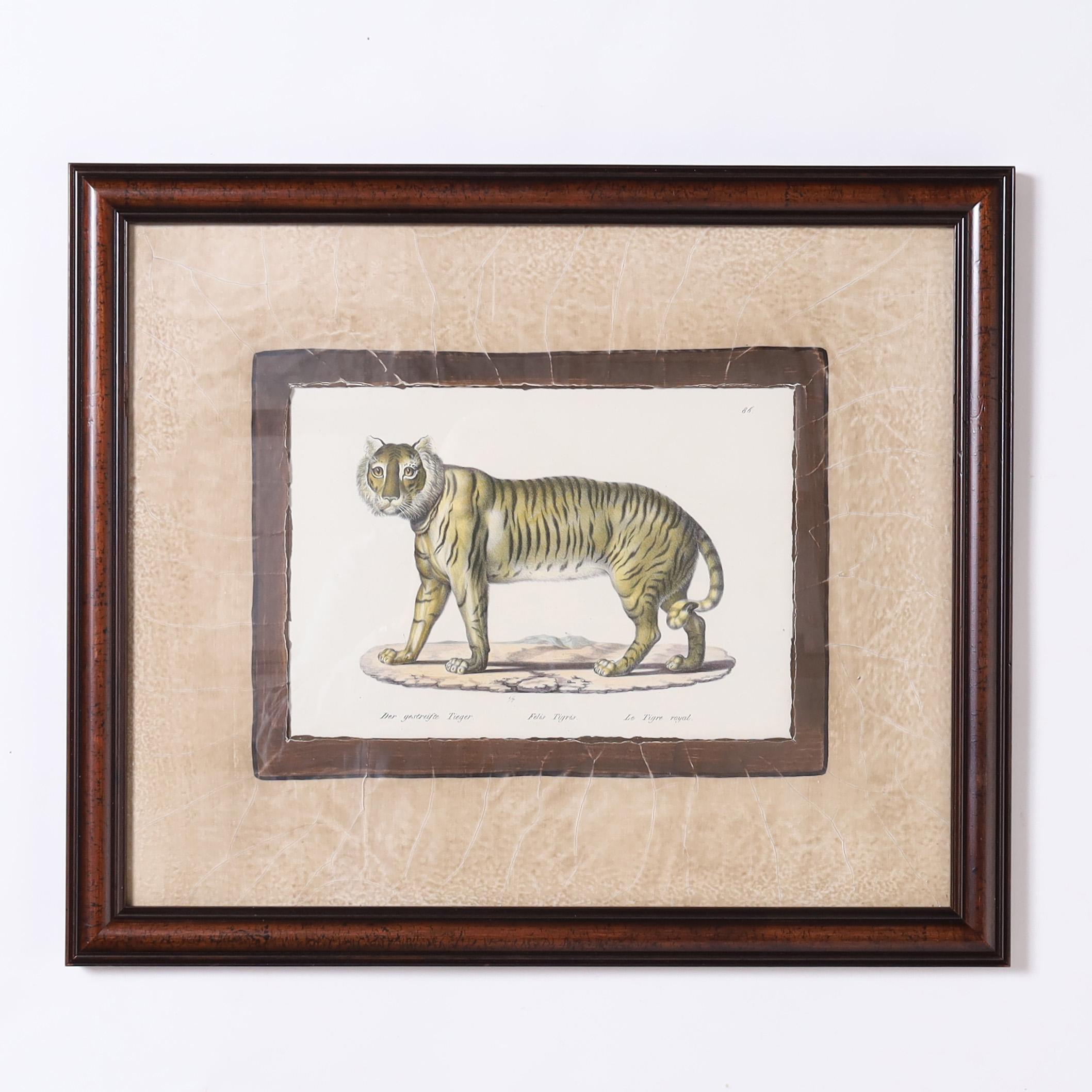 Swiss Set of Four Animal Stone Lithographs For Sale
