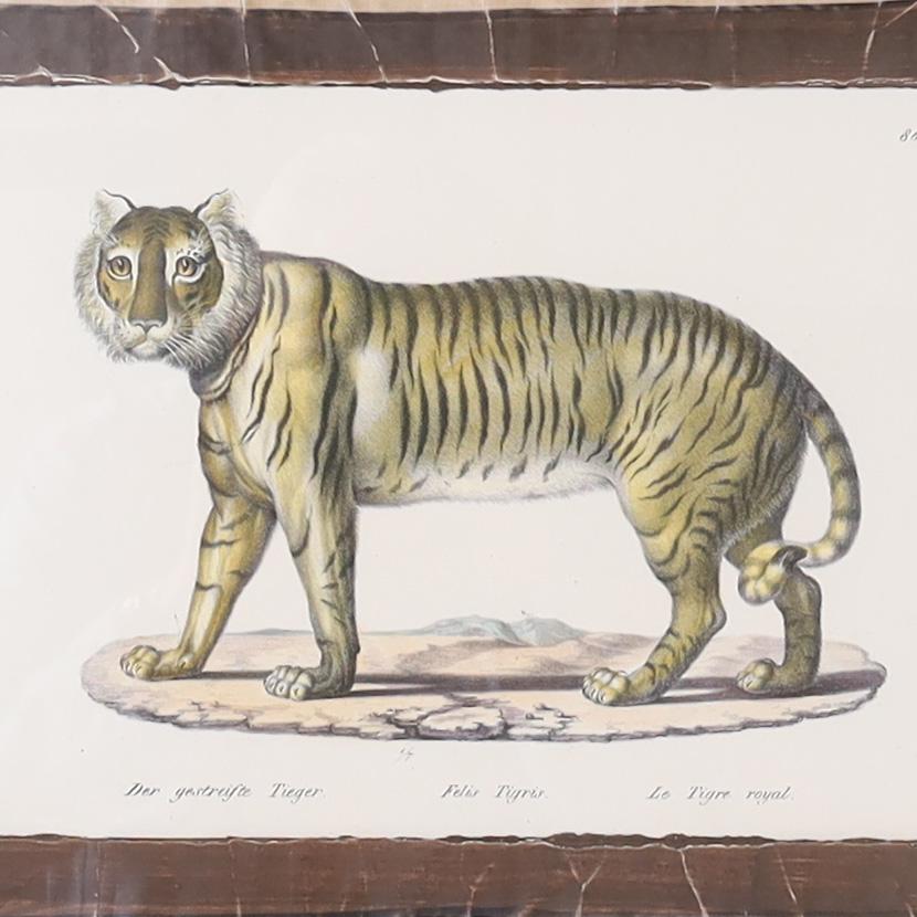Hand-Crafted Set of Four Animal Stone Lithographs For Sale