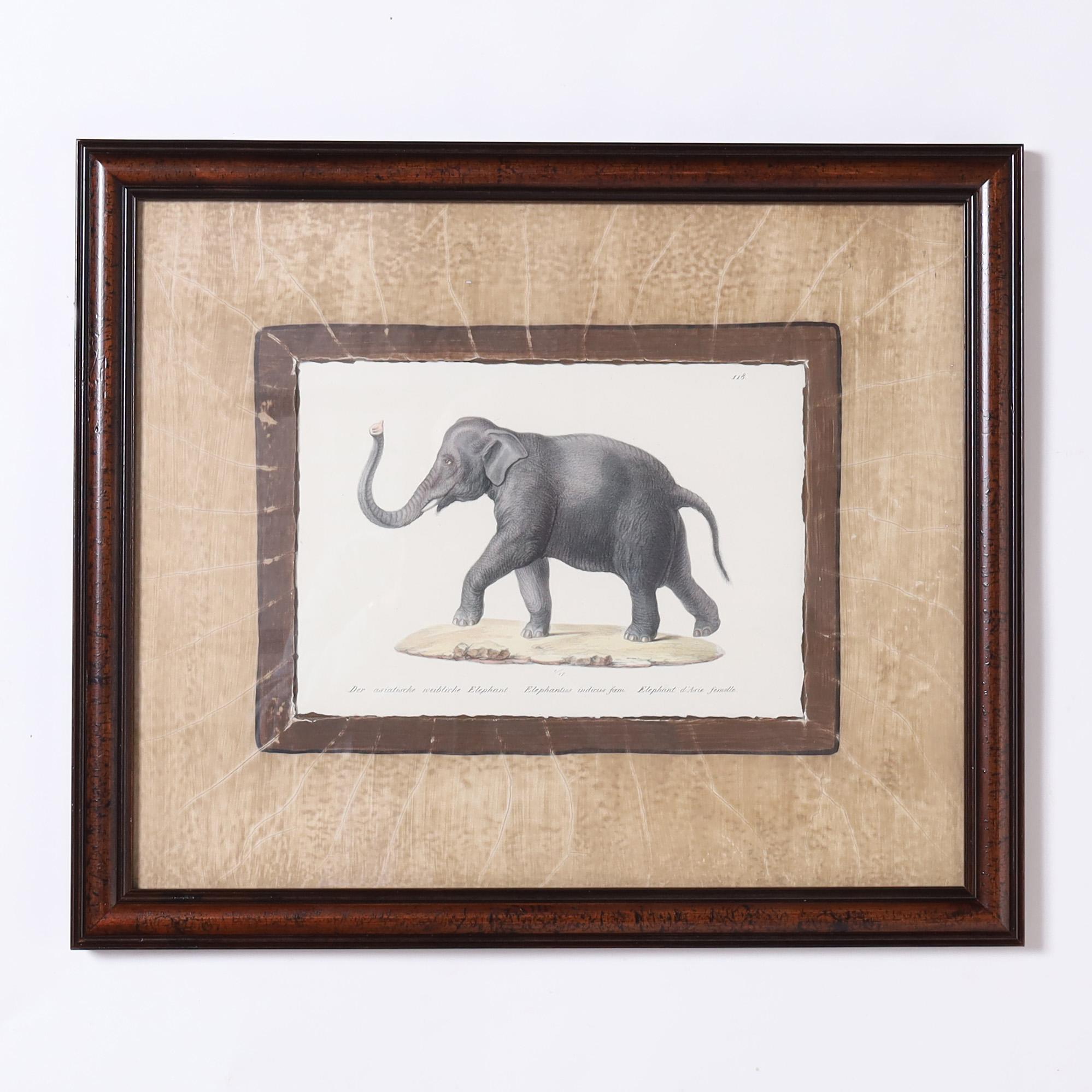 Mahogany Set of Four Animal Stone Lithographs For Sale