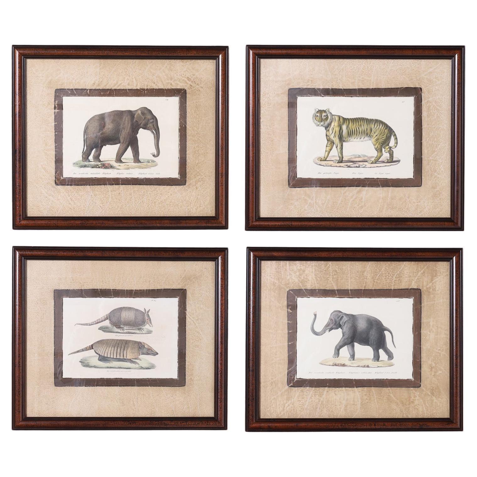 Ensemble de quatre lithographies en pierre d'animaux en vente