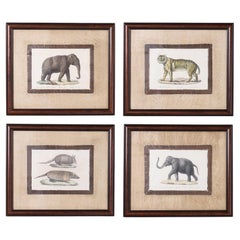 Antique Set of Four Animal Stone Lithographs