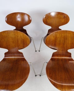 Set of Four Ant Chairs, Model 3100, Arne Jacobsen '1902-1971', Teak Wood
