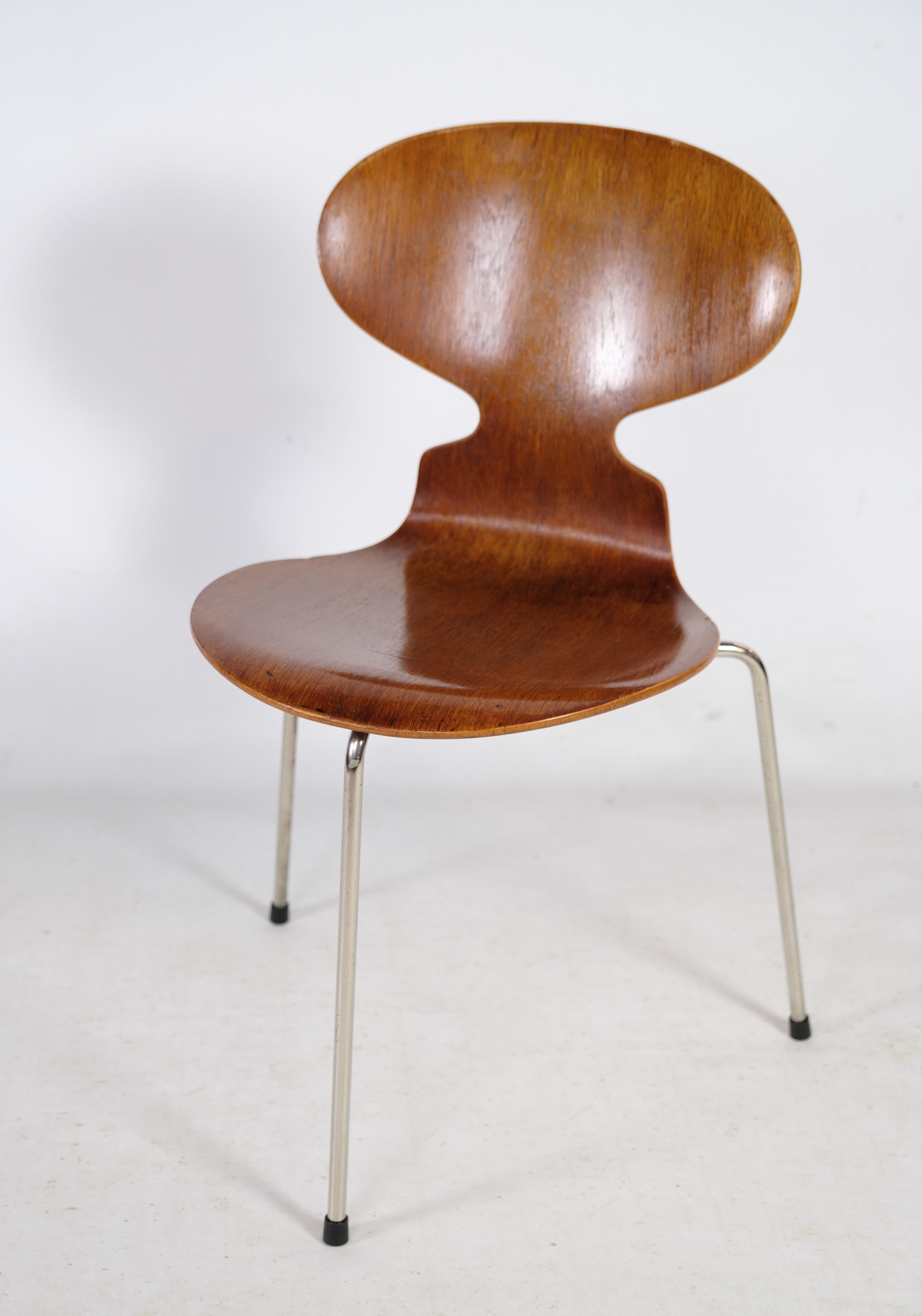 Mid-Century Modern Set of Four Ant Chairs, Model 3100, Arne Jacobsen '1902-1971', Teak Wood