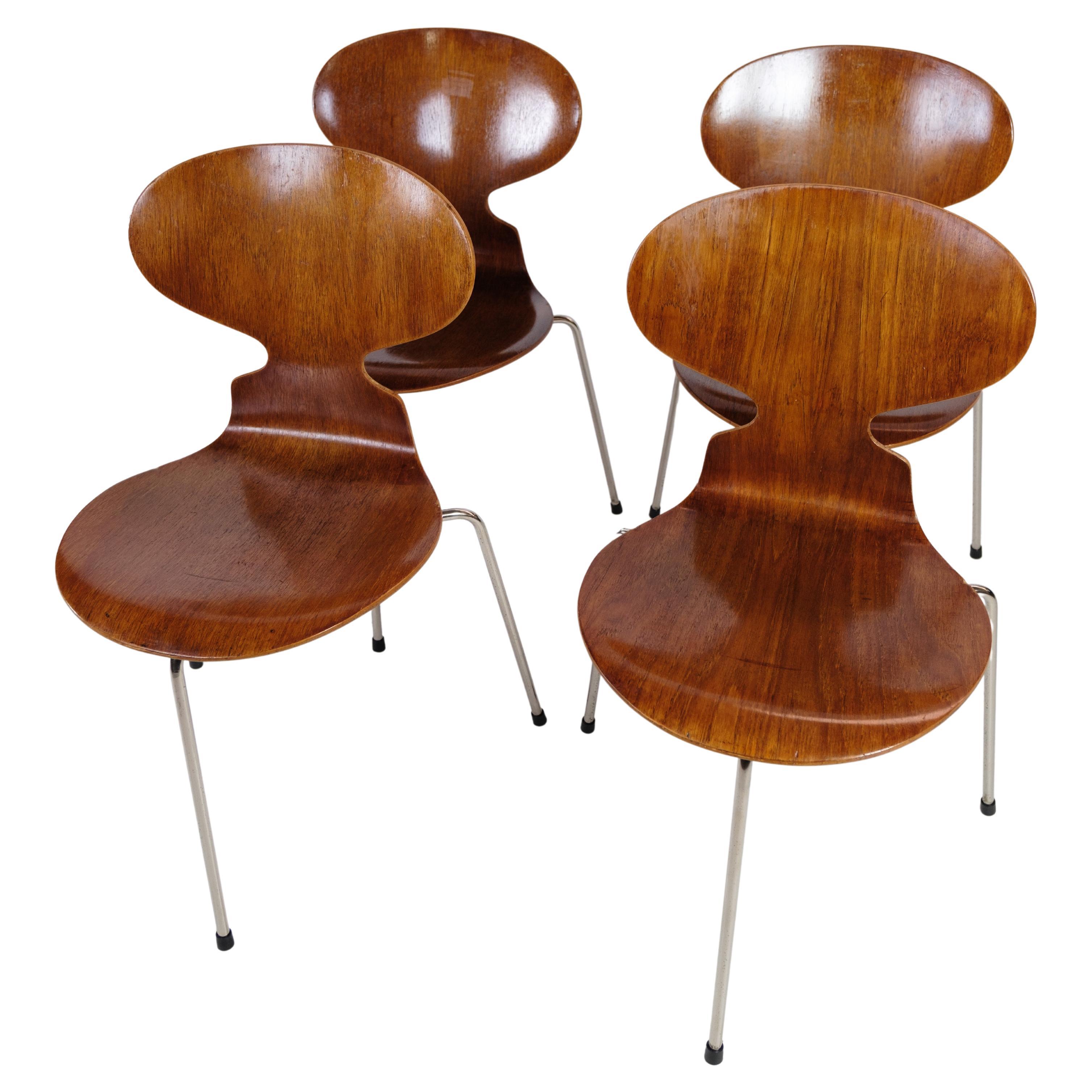 Set of Four Ant Chairs, Model 3100, Arne Jacobsen '1902-1971', Teak Wood