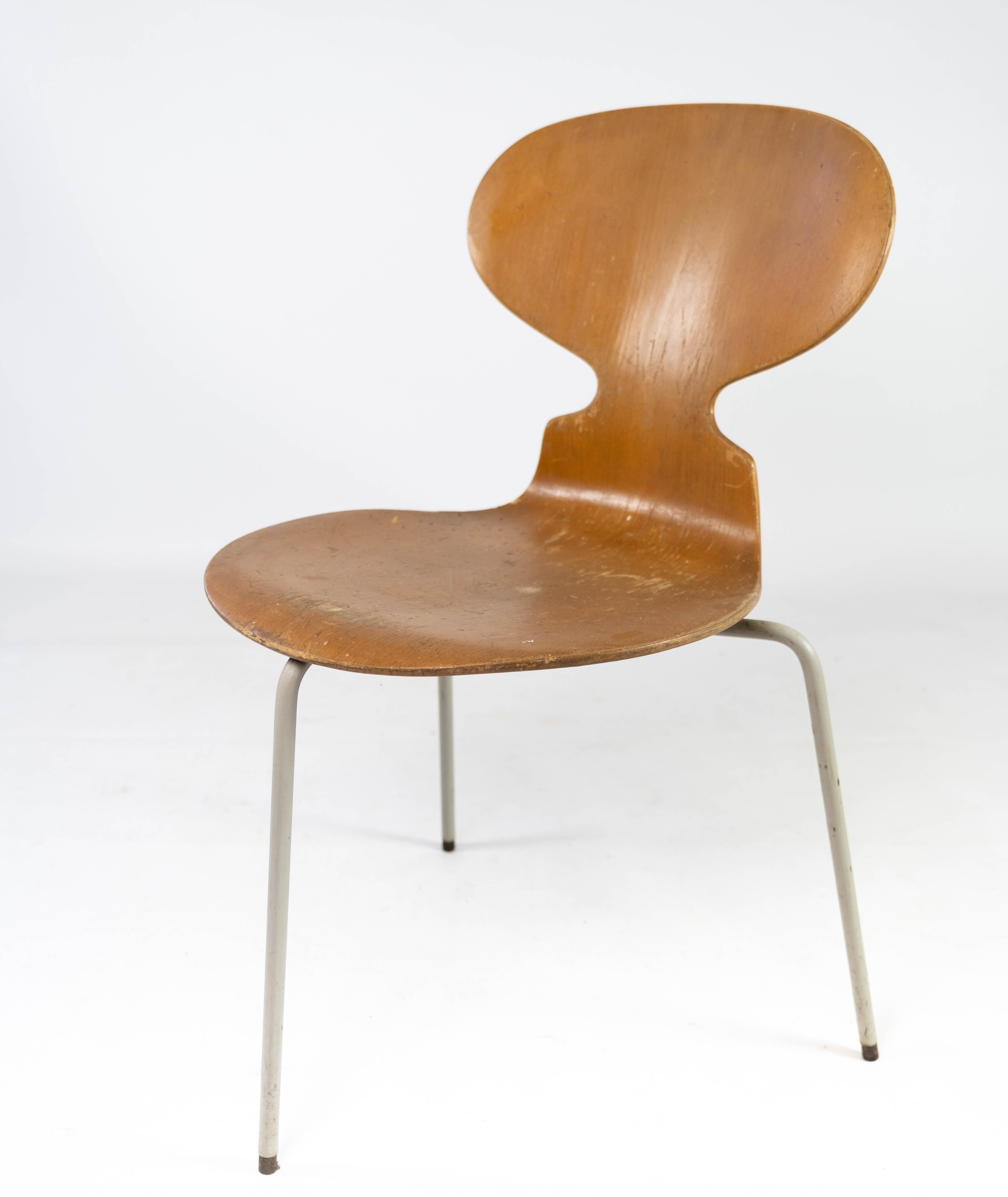 Set of Four Ant Chairs, Model 3101, in Light Wood, by Arne Jacobsen, 1950s For Sale 4