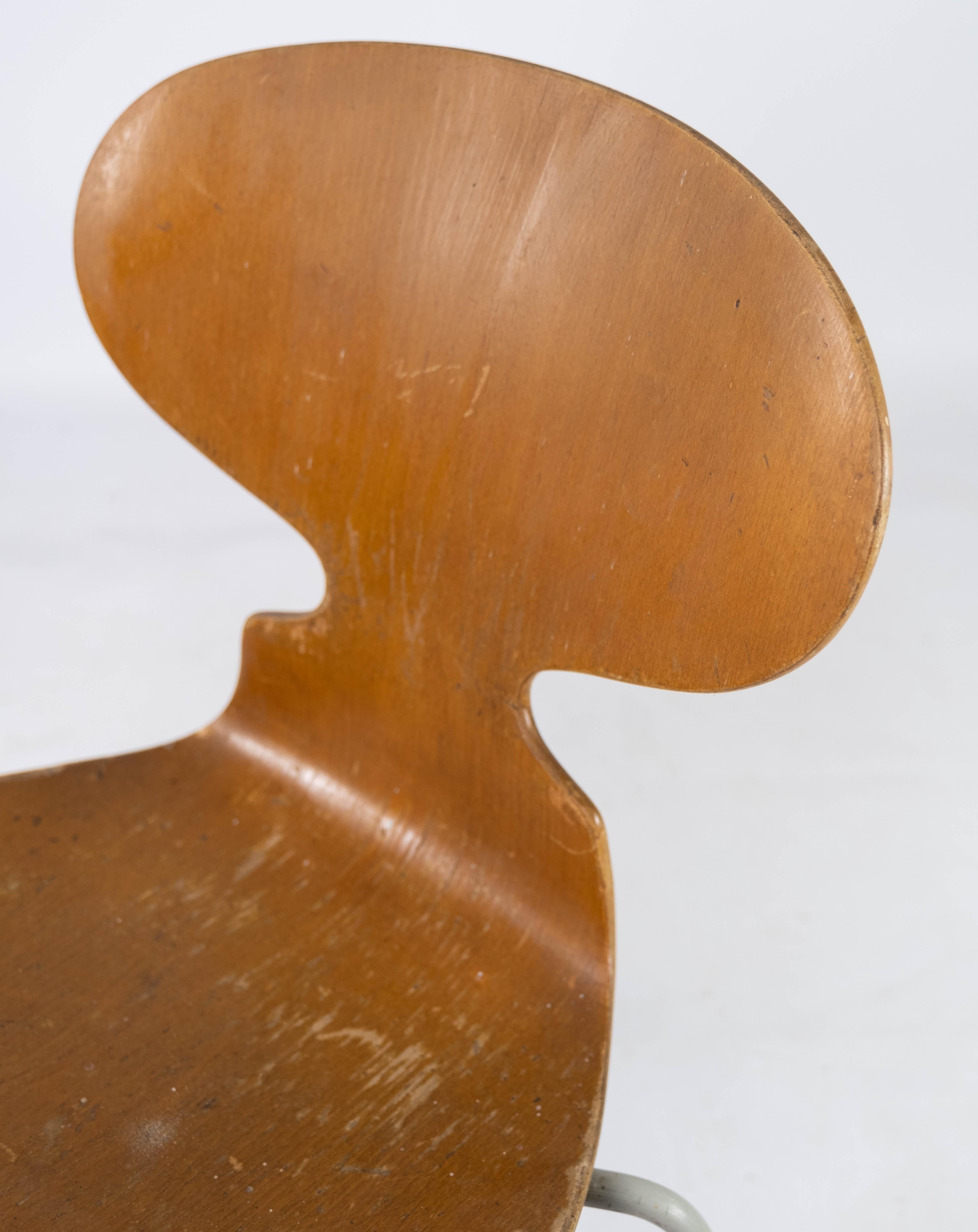 Ensemble de quatre chaises Fourmi, modèle 3101, en Wood Light, par Arne Jacobsen, années 1950 en vente 5