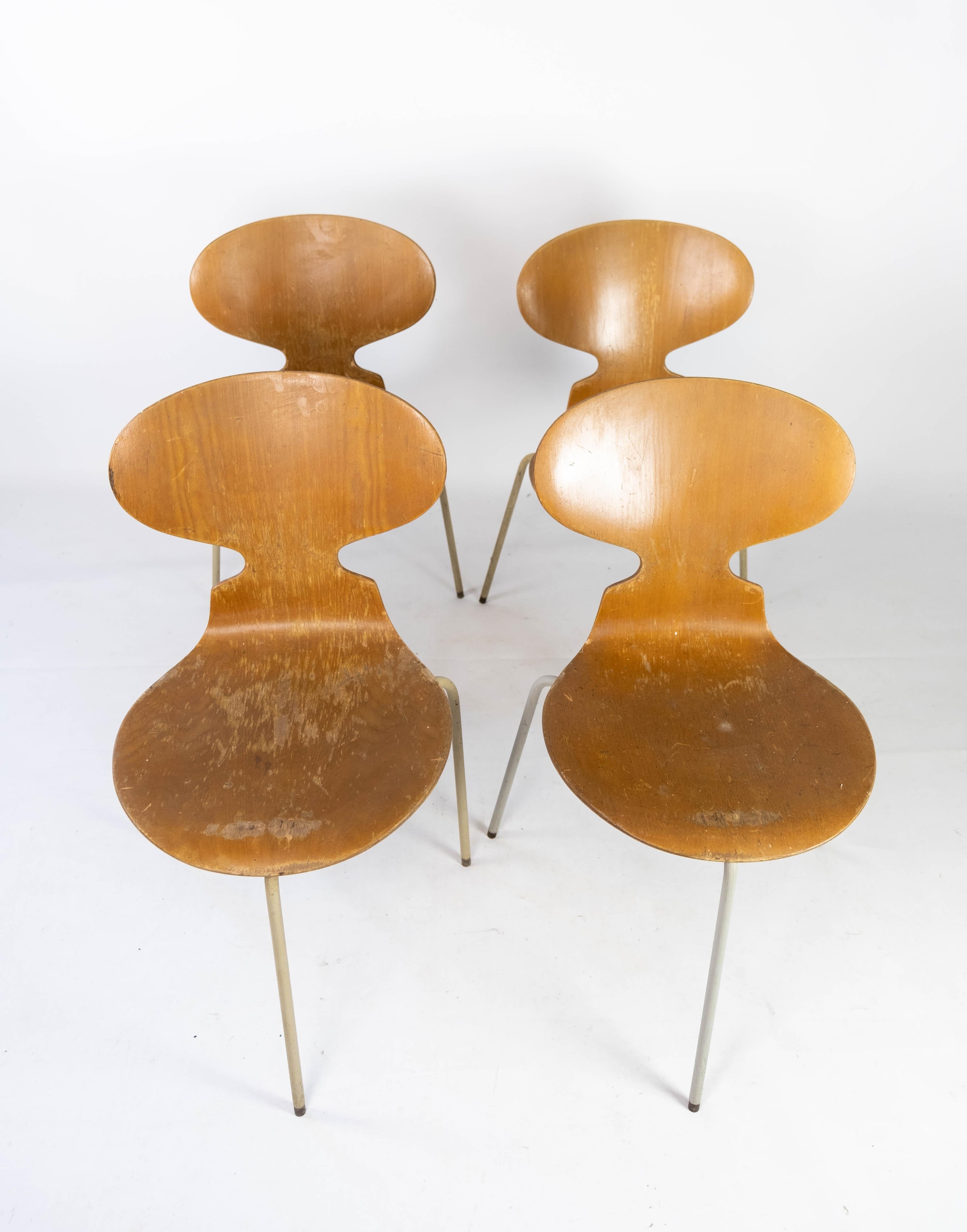 This set of four Ant chairs, model 3101, embodies the iconic design ethos of Danish architect and designer Arne Jacobsen. Created in 1952, these chairs represent a quintessential example of Scandinavian modernism, characterized by their sleek lines,