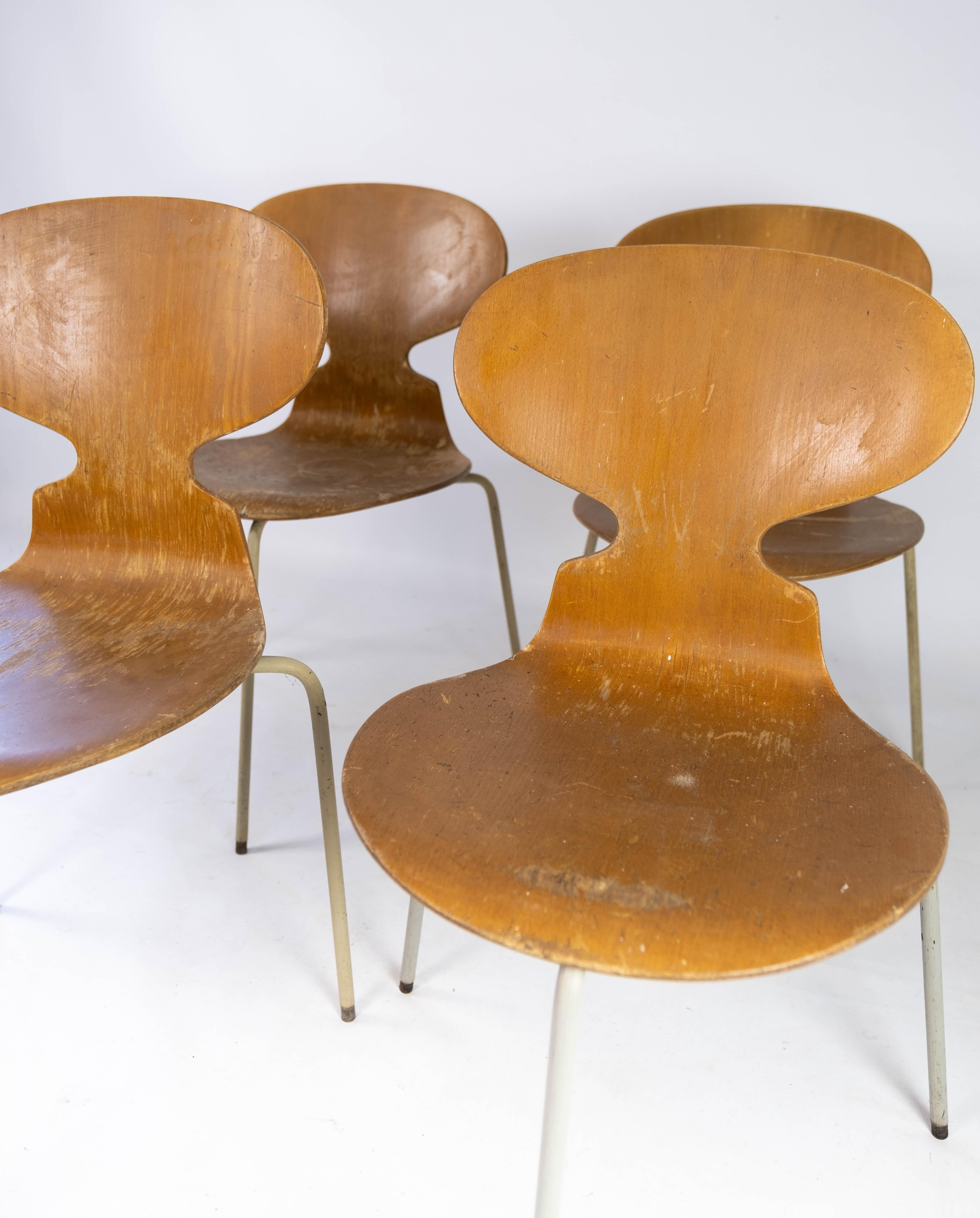 Scandinavian Modern Set of Four Ant Chairs, Model 3101, in Light Wood, by Arne Jacobsen, 1950s For Sale