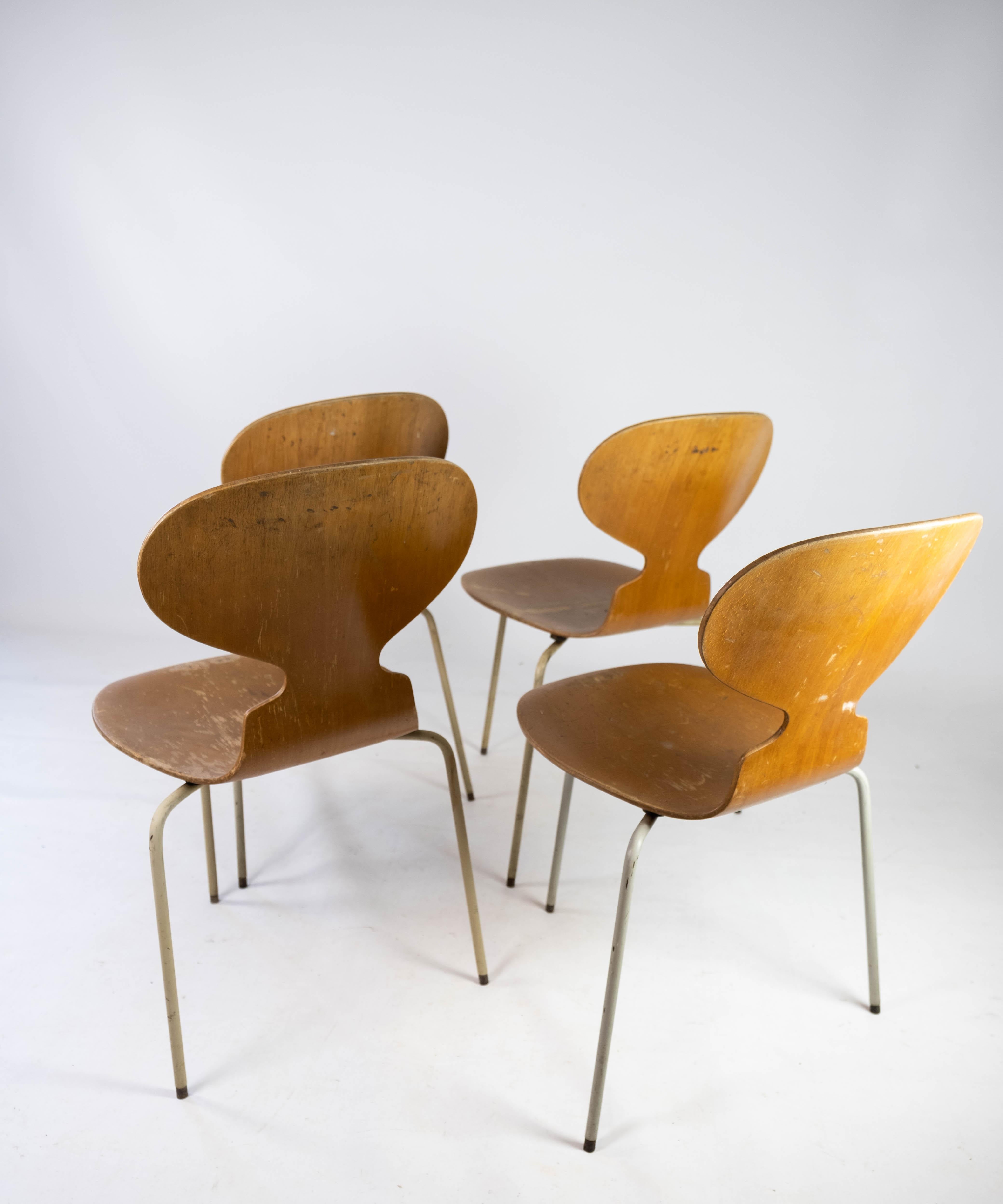 Metal Set of Four Ant Chairs, Model 3101, in Light Wood, by Arne Jacobsen, 1950s For Sale