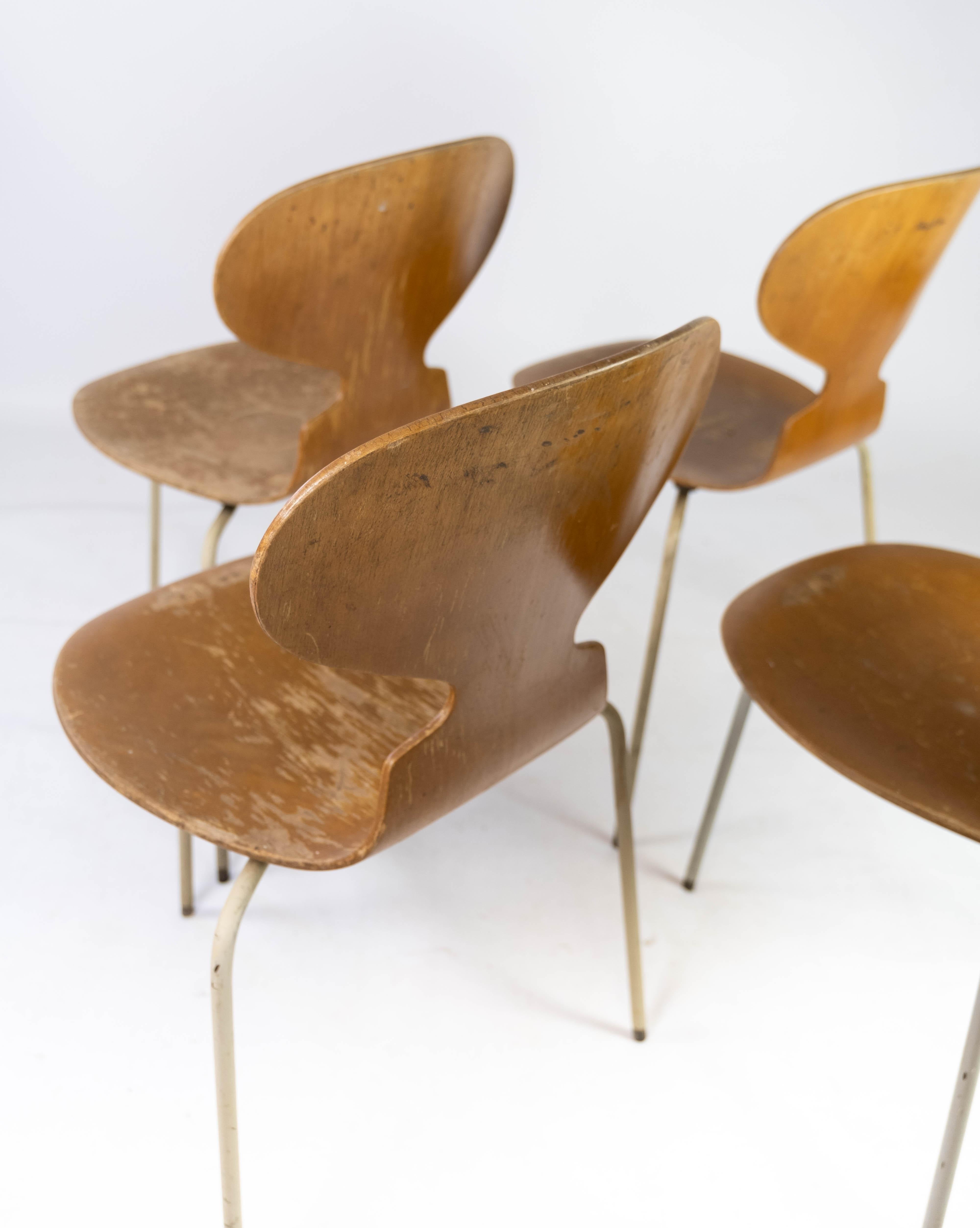 Set of Four Ant Chairs, Model 3101, in Light Wood, by Arne Jacobsen, 1950s For Sale 1