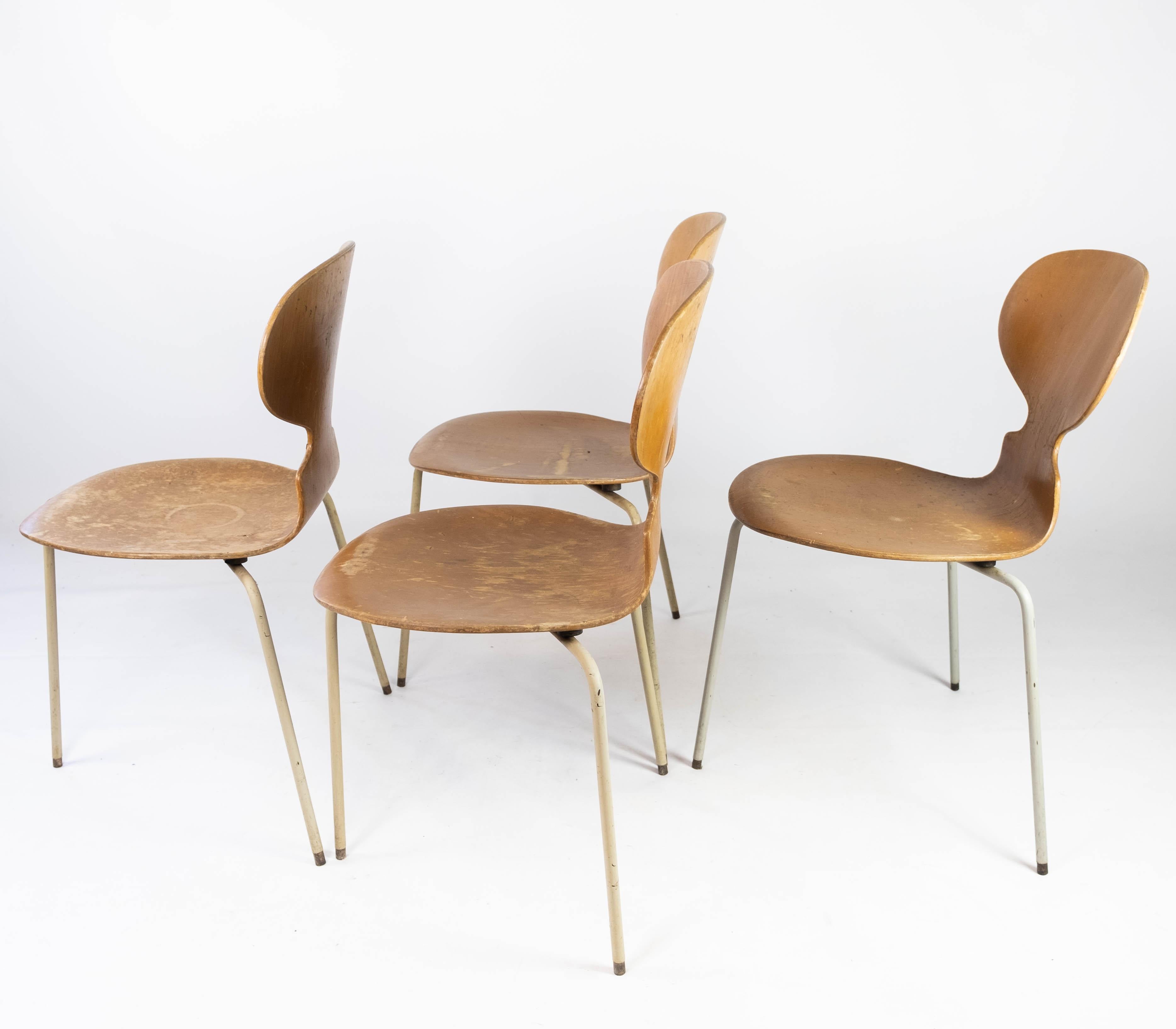 Métal Ensemble de quatre chaises Fourmi, modèle 3101, en Wood Light, par Arne Jacobsen, années 1950 en vente
