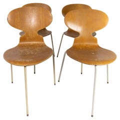 Set of Four Ant Chairs, Model 3101, in Light Wood, by Arne Jacobsen, 1950s