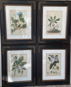 Set of Four Antique Botanical Engravings Framed by Trowbridge