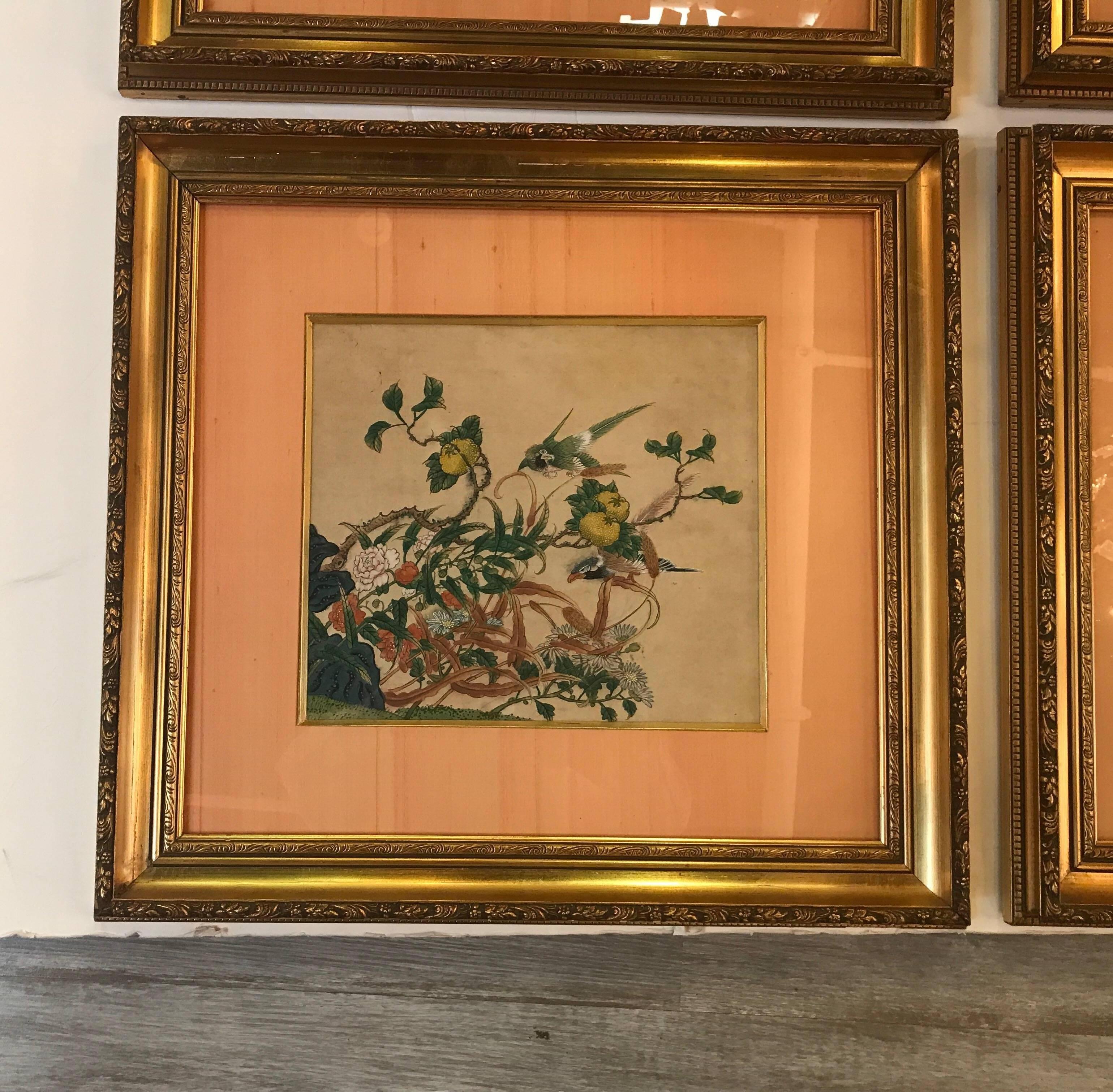 Original late 18th-early 19th century Chinese watercolors in more recent frames with silk mats under glass. The watercolors are ornithological themed with birds and floral branches. The pictures have a slight glare from the glass.