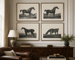 Set of Four Antique Equestrian Lithographs, England c.1840