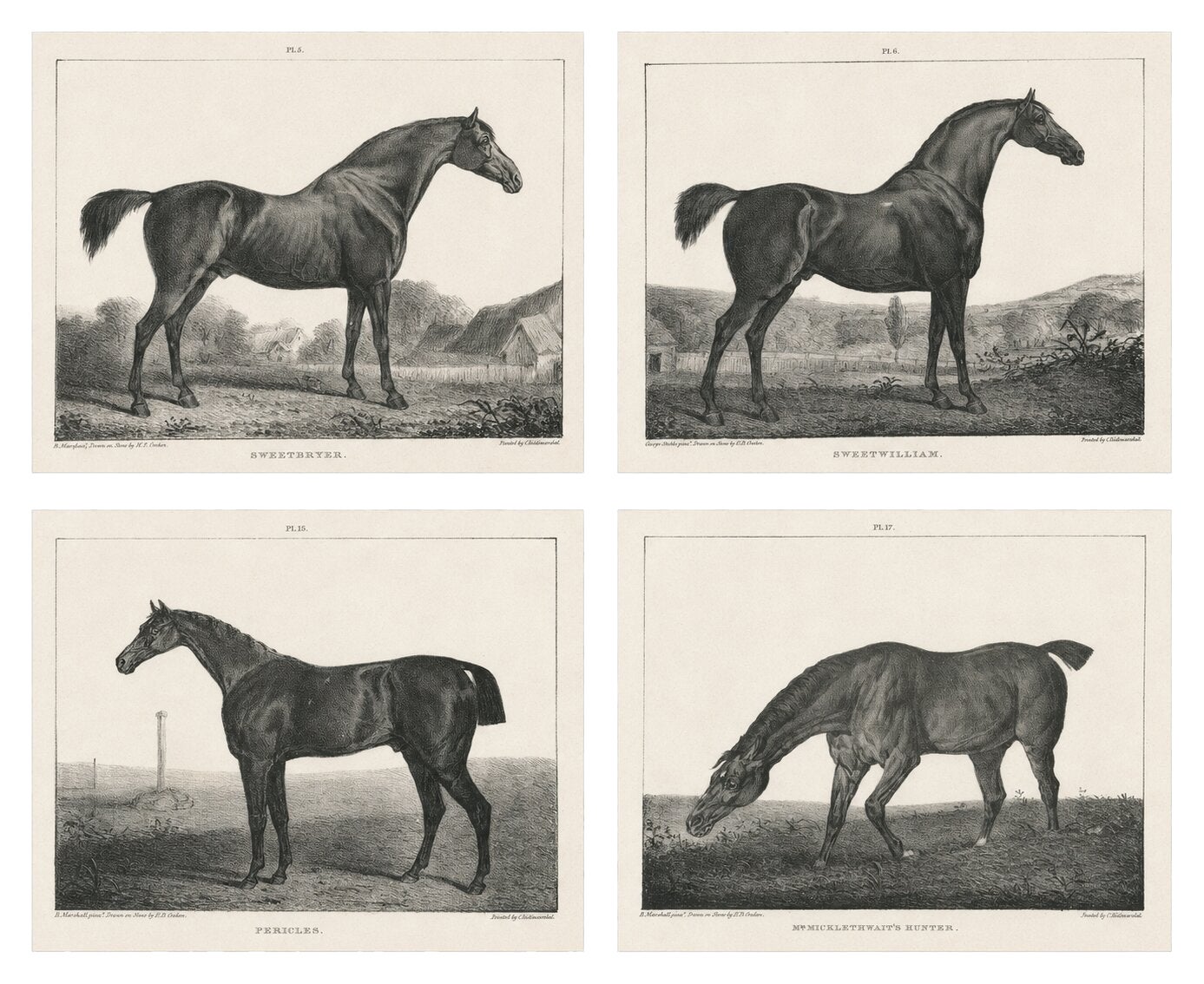 Set of Four Antique Equestrian Lithographs, England c.1840