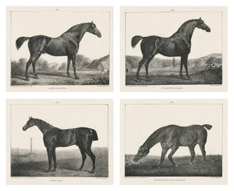 Set of Four Antique Equestrian Lithographs, England c.1840