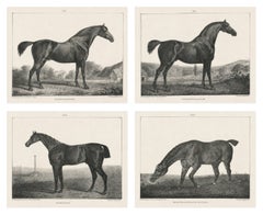 Set of Four Antique Equestrian Lithographs, England c.1840