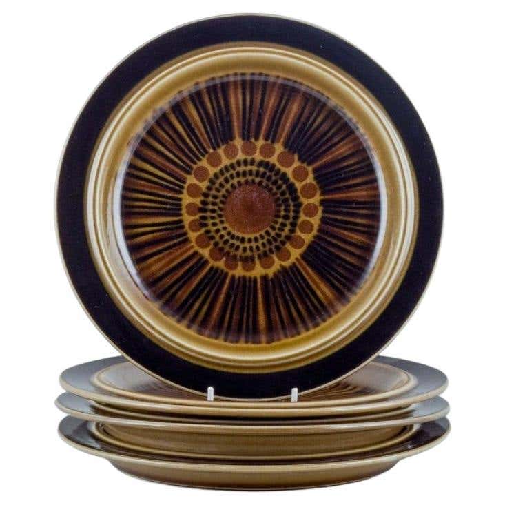 Rust Stoneware Dinner Plates For Sale at 1stDibs