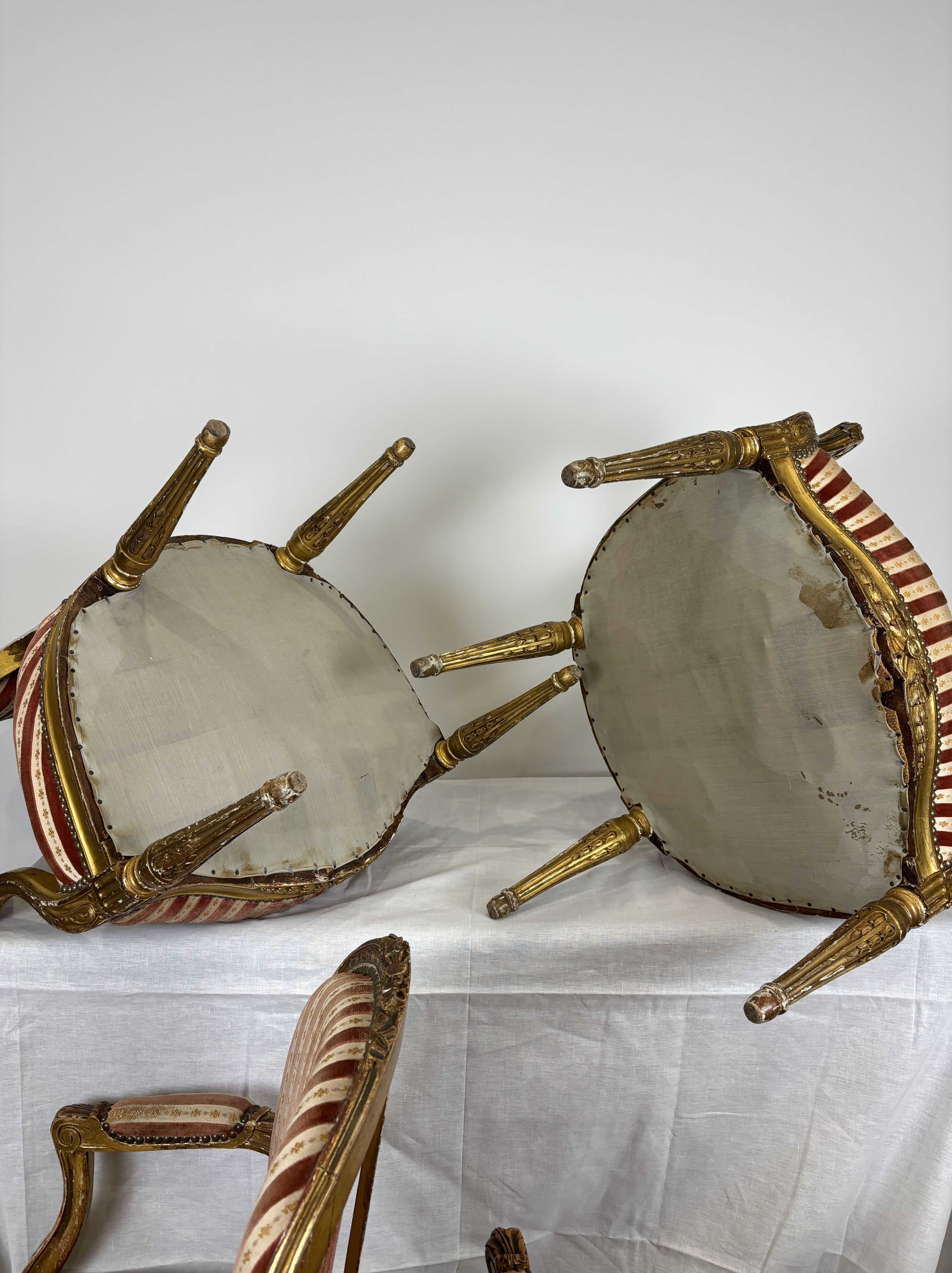 Set di quattro poltrone con schienale a medaglione in legno dorato intagliato, XIX secolo in vendita 10