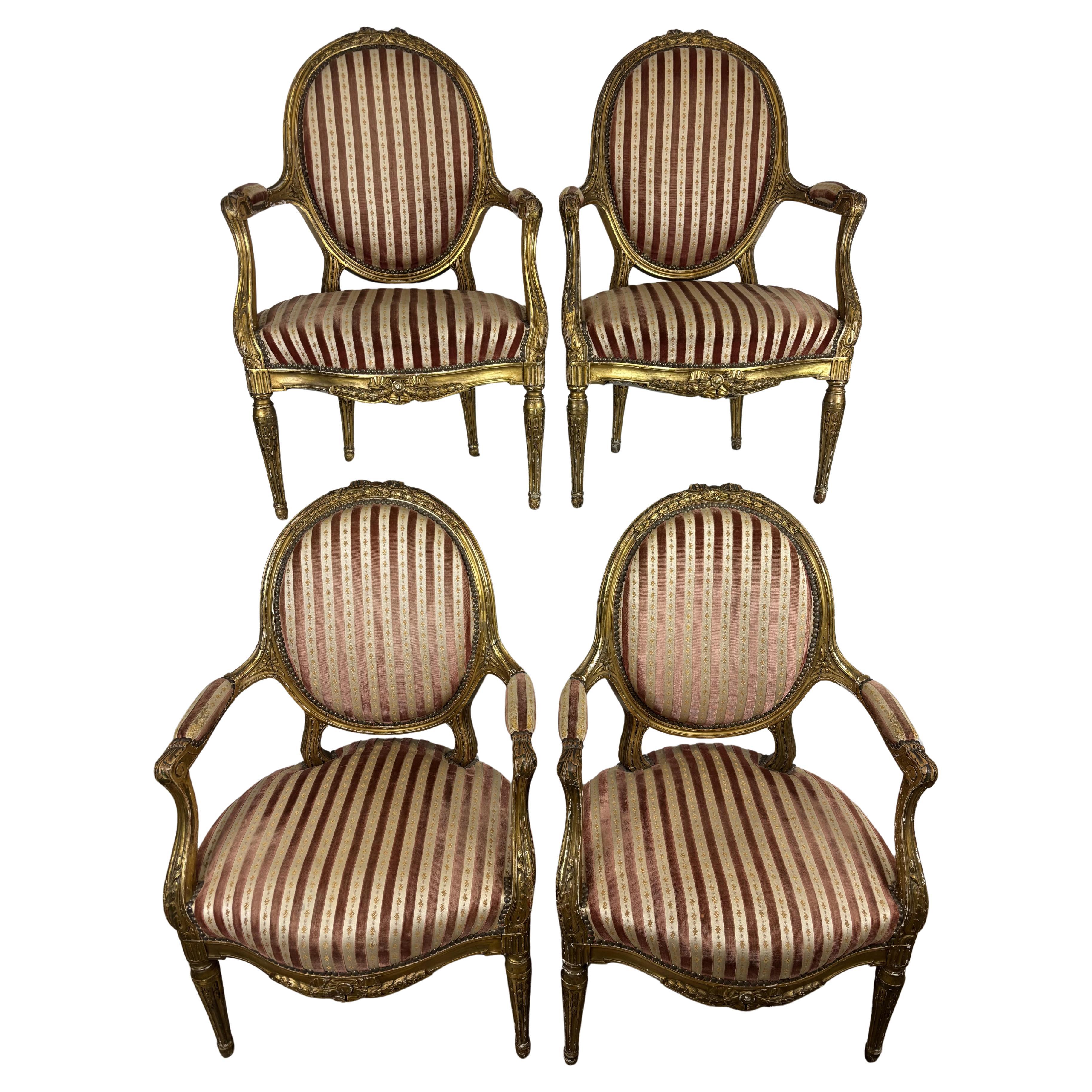 Set Of Four Armchairs With Medallion Backs In Carved Gilded Wood, 19th Century