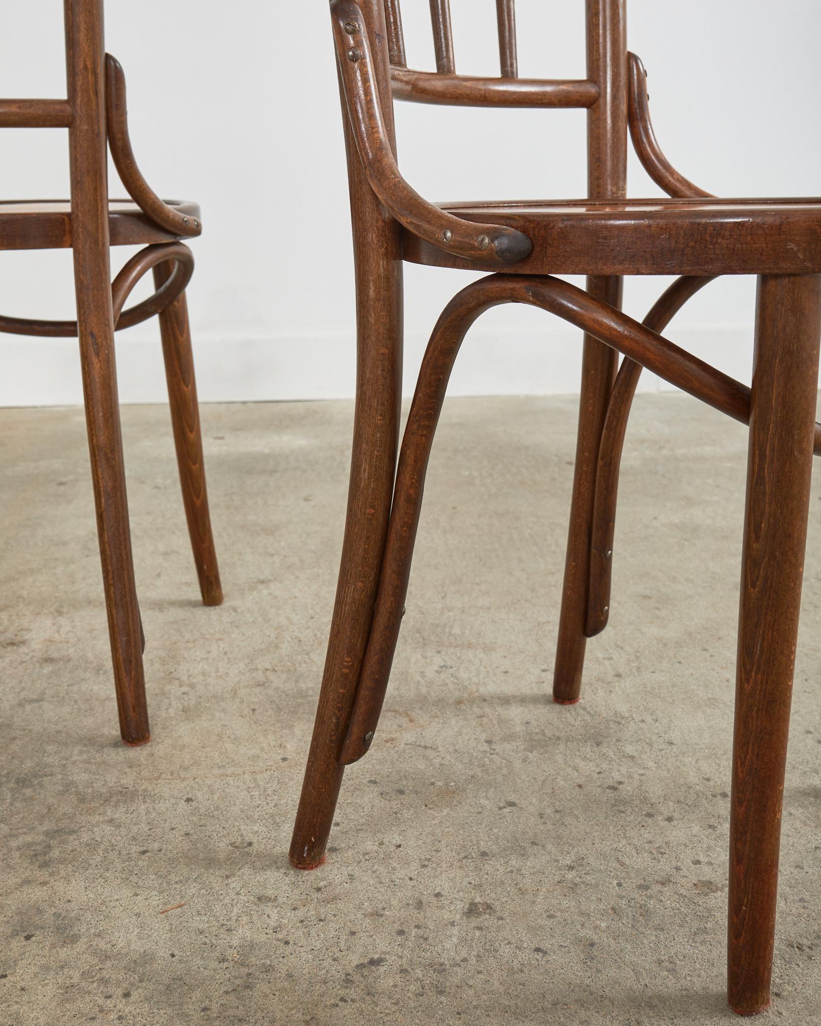 Ensemble de quatre chaises de salle à manger bistro Art Nouveau en bois cintré en vente 1