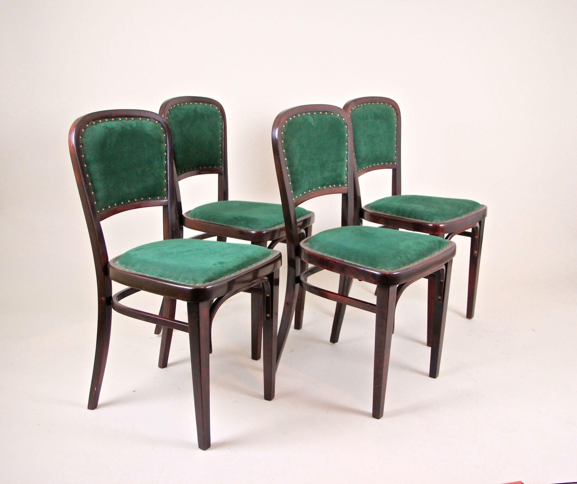 Legno curvato Set di quattro sedie Thonet in stile Art Nouveau di Marcel Kammerer, Austria, circa 1910 in vendita