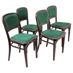 Juego de cuatro sillas Art Nouveau Thonet de Marcel Kammerer, Austria, hacia 1910