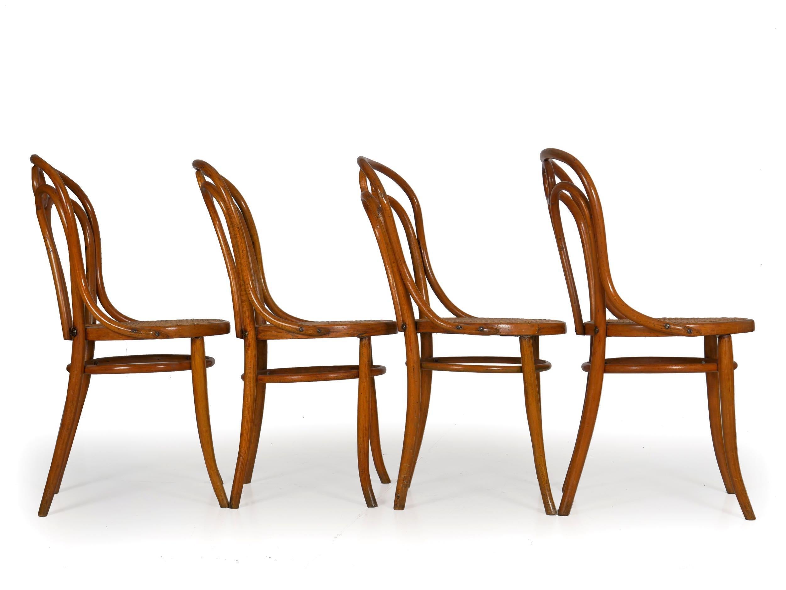 Set of Four Austrian Bentwood Vintage “Angel Chairs” No. 36 by Josef Kohn In Good Condition In Shippensburg, PA