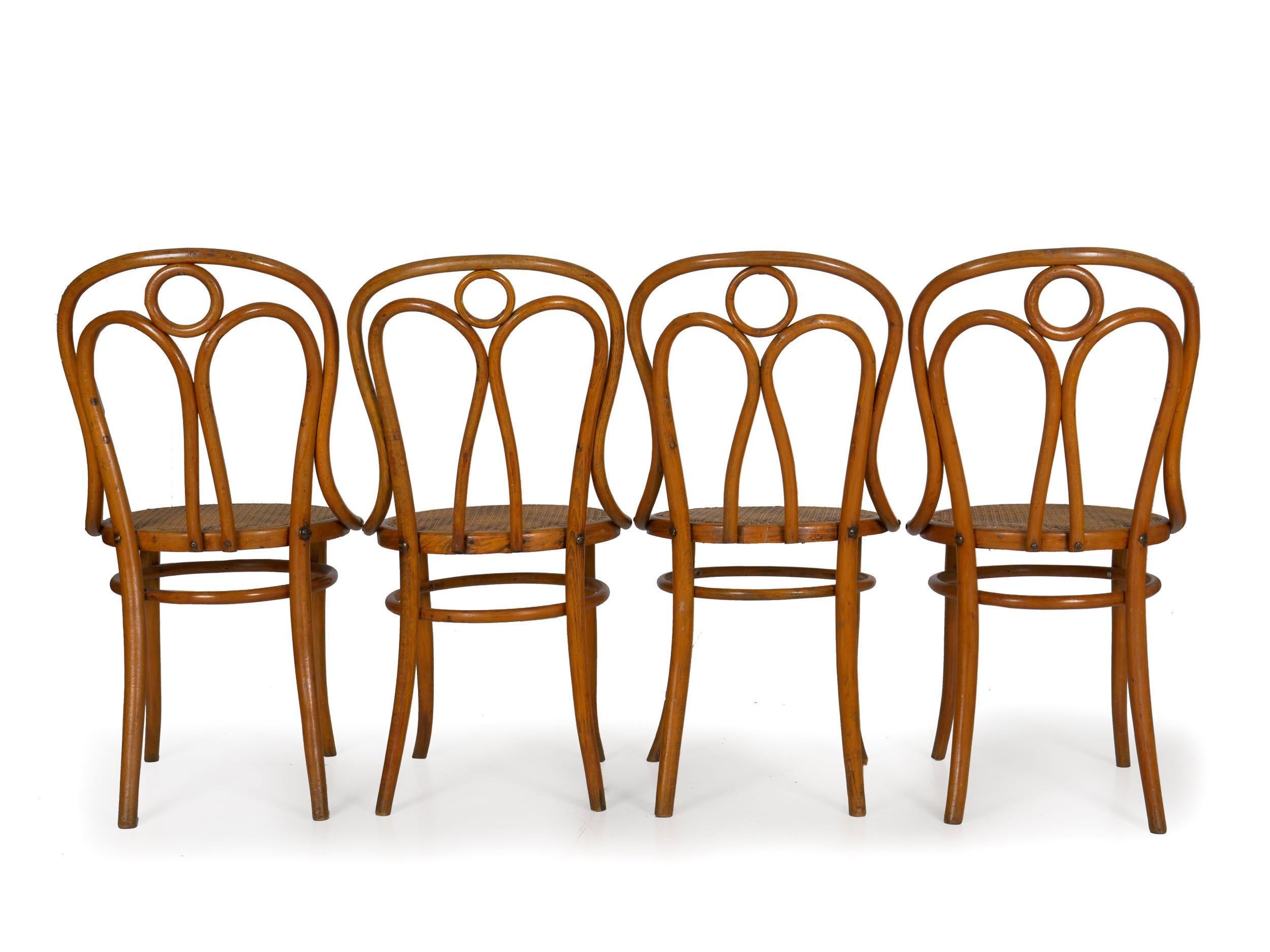 Early 20th Century Set of Four Austrian Bentwood Vintage “Angel Chairs” No. 36 by Josef Kohn