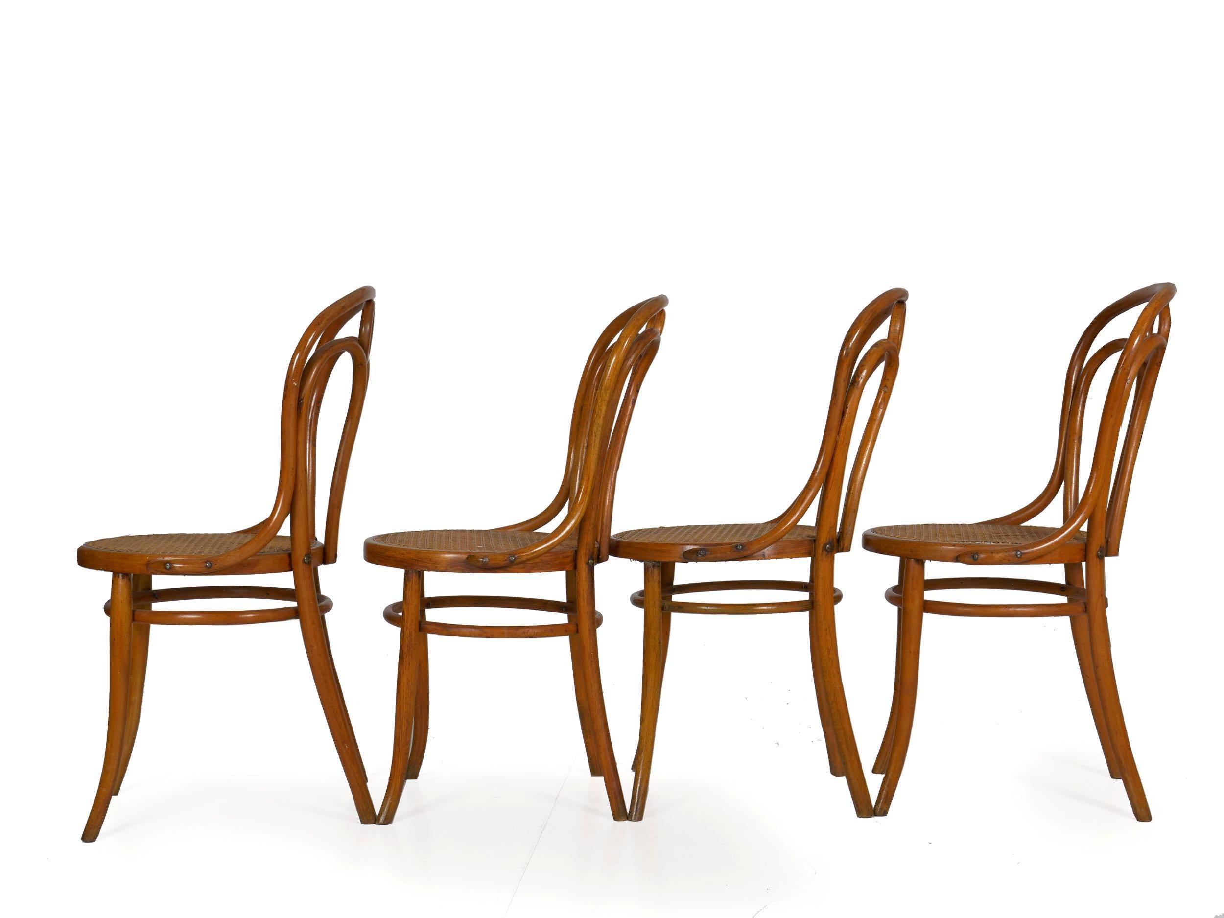 Cane Set of Four Austrian Bentwood Vintage “Angel Chairs” No. 36 by Josef Kohn