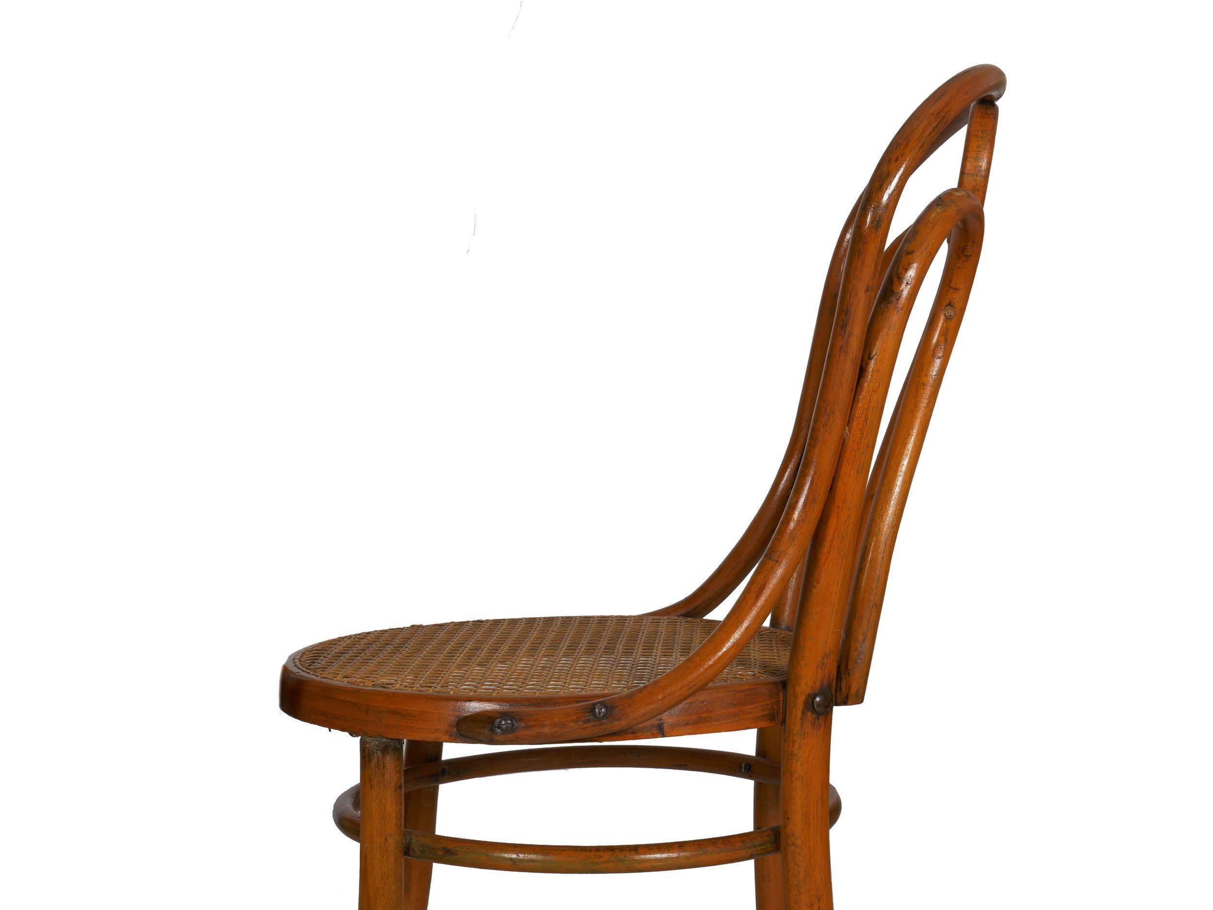 Set of Four Austrian Bentwood Vintage “Angel Chairs” No. 36 by Josef Kohn 4