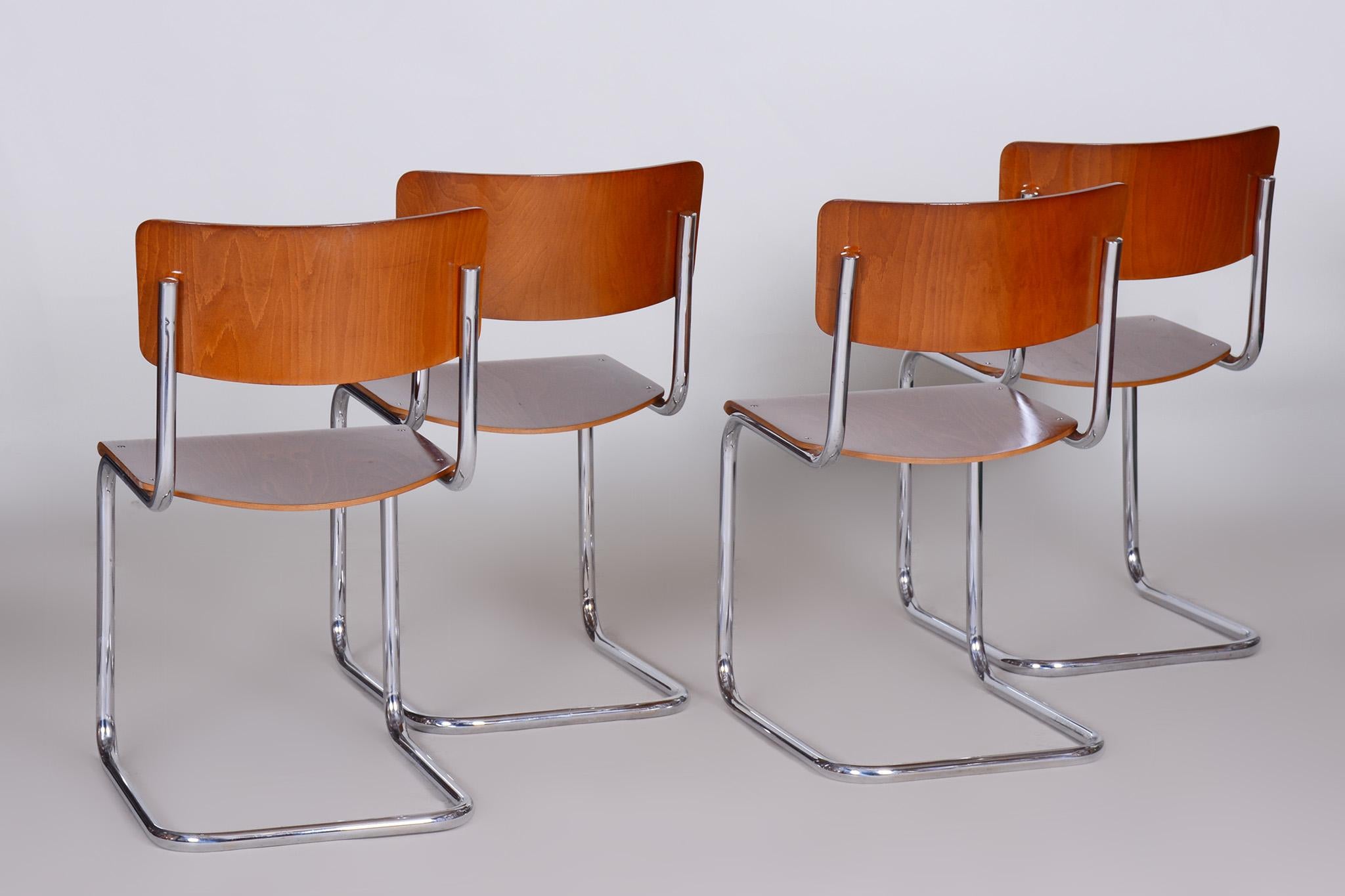 Set of Four Bauhaus Beech Chairs, Restored, Germany, 1930s For Sale 4