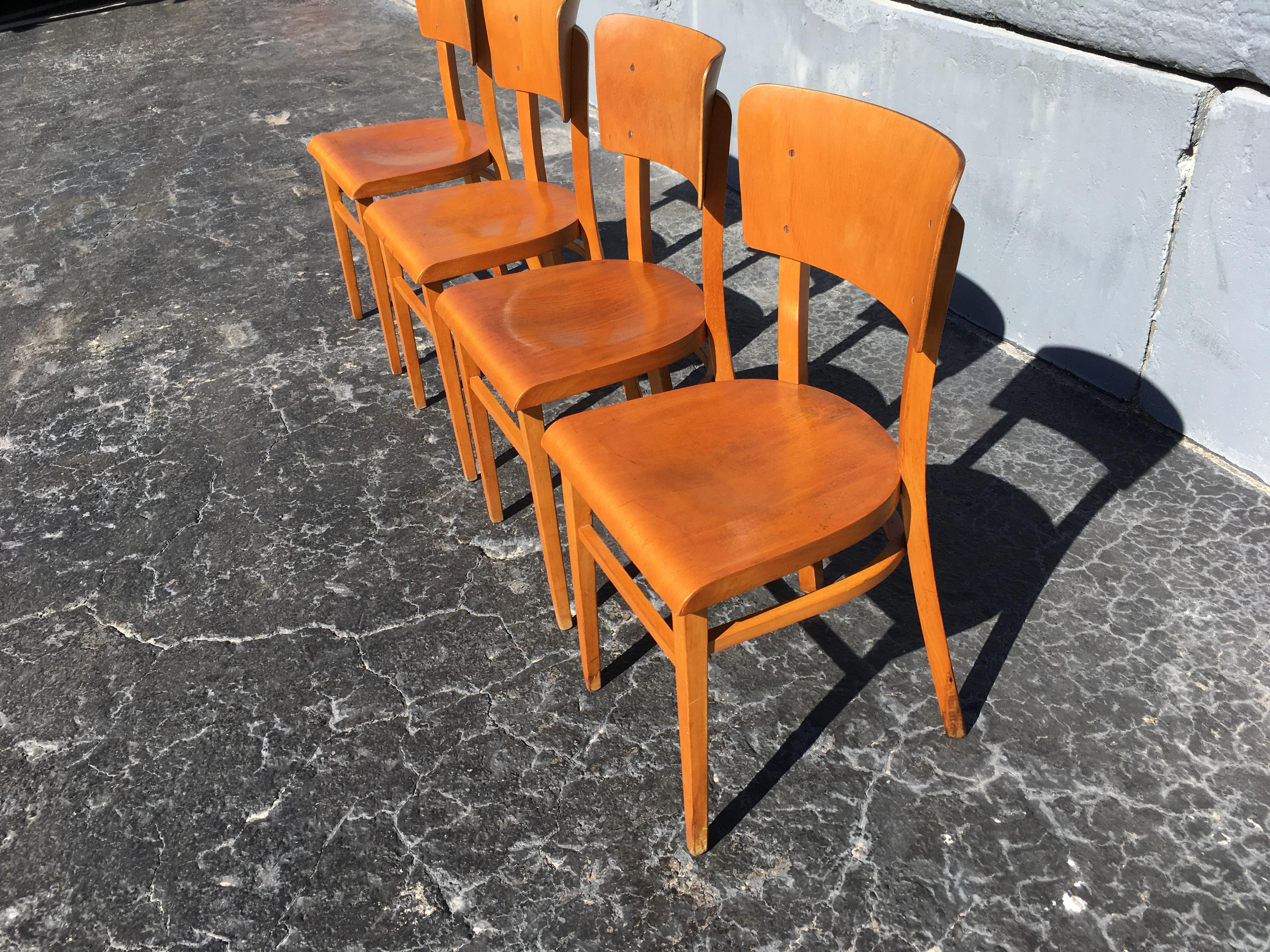 Wood Set of Four Beautiful Bentwood Kitchen Dining Chairs, 1950s