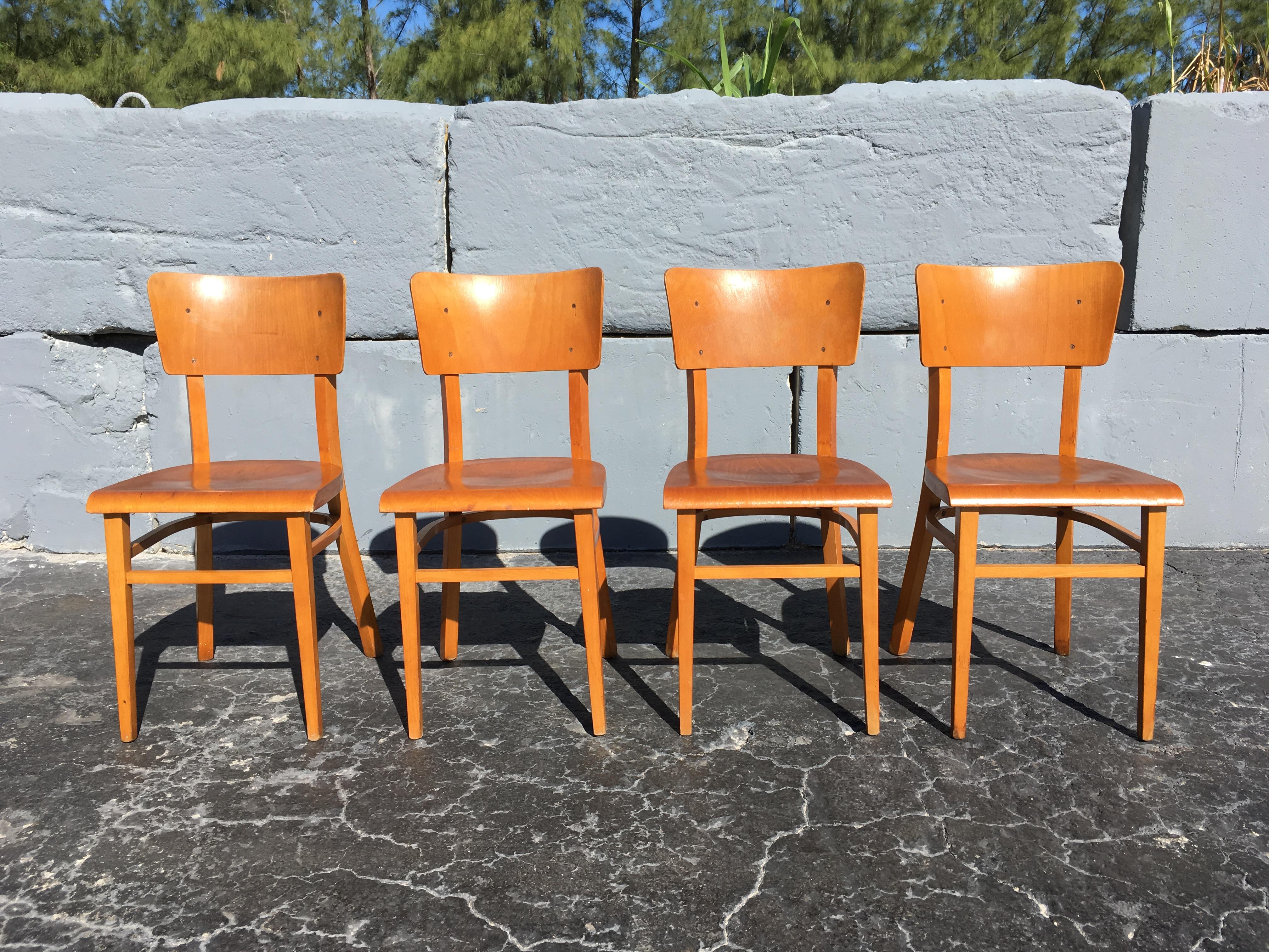 Set of Four Beautiful Bentwood Kitchen Dining Chairs, 1950s For Sale 1