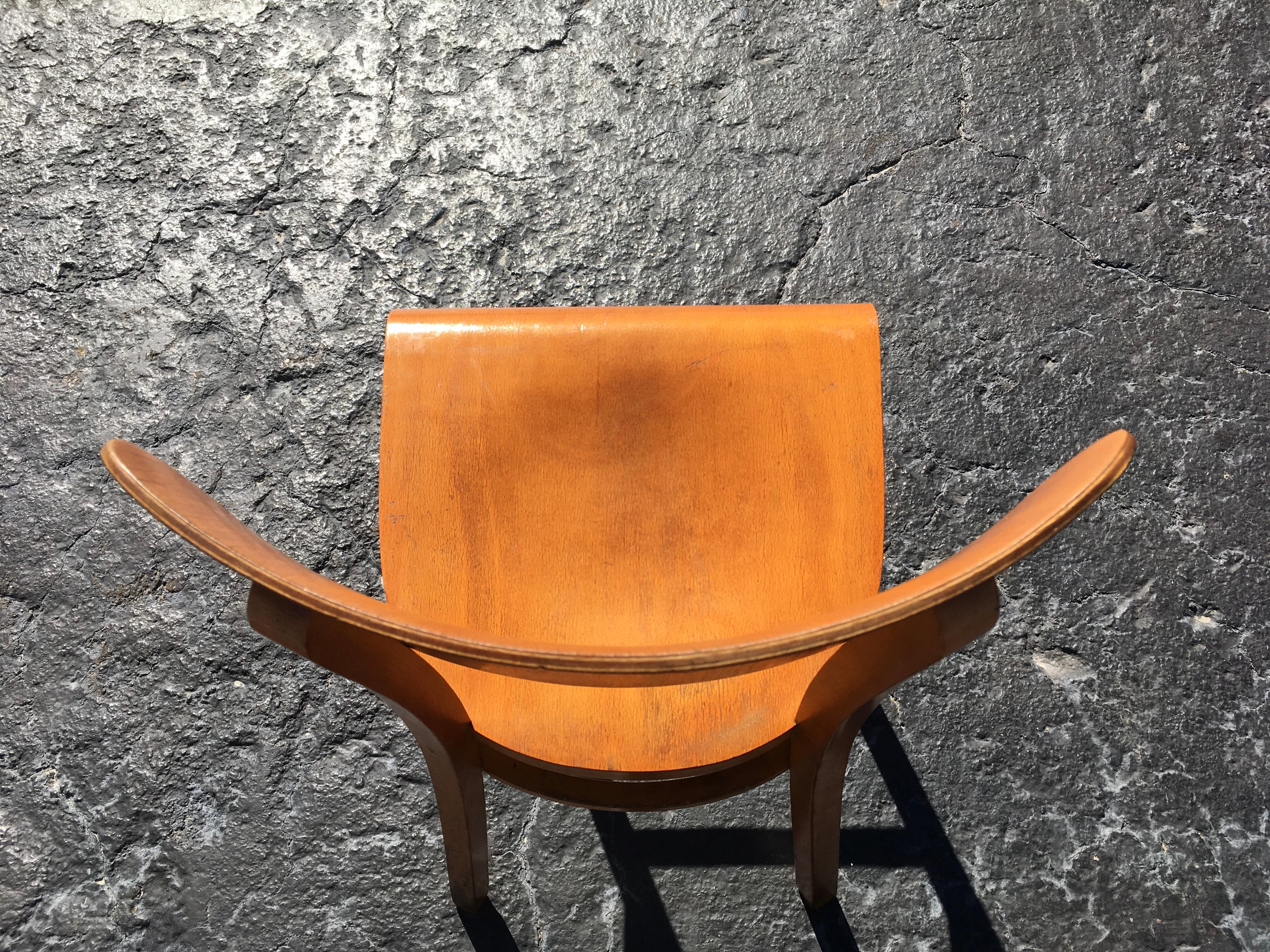 Set of Four Beautiful Bentwood Kitchen Dining Chairs, 1950s 2