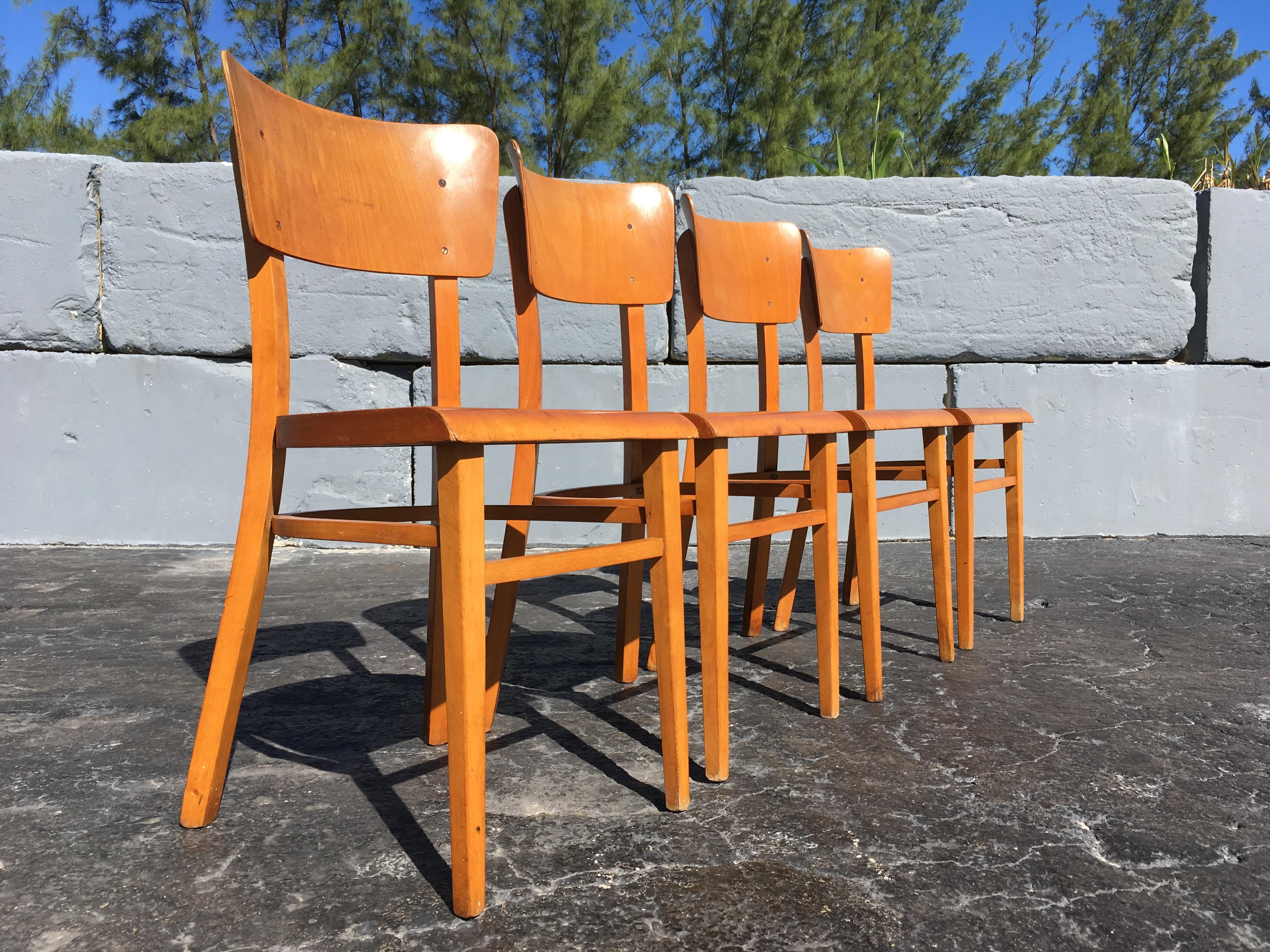 Mid-Century Modern Ensemble de quatre chaises de cuisine en bentwood, années 1950 en vente