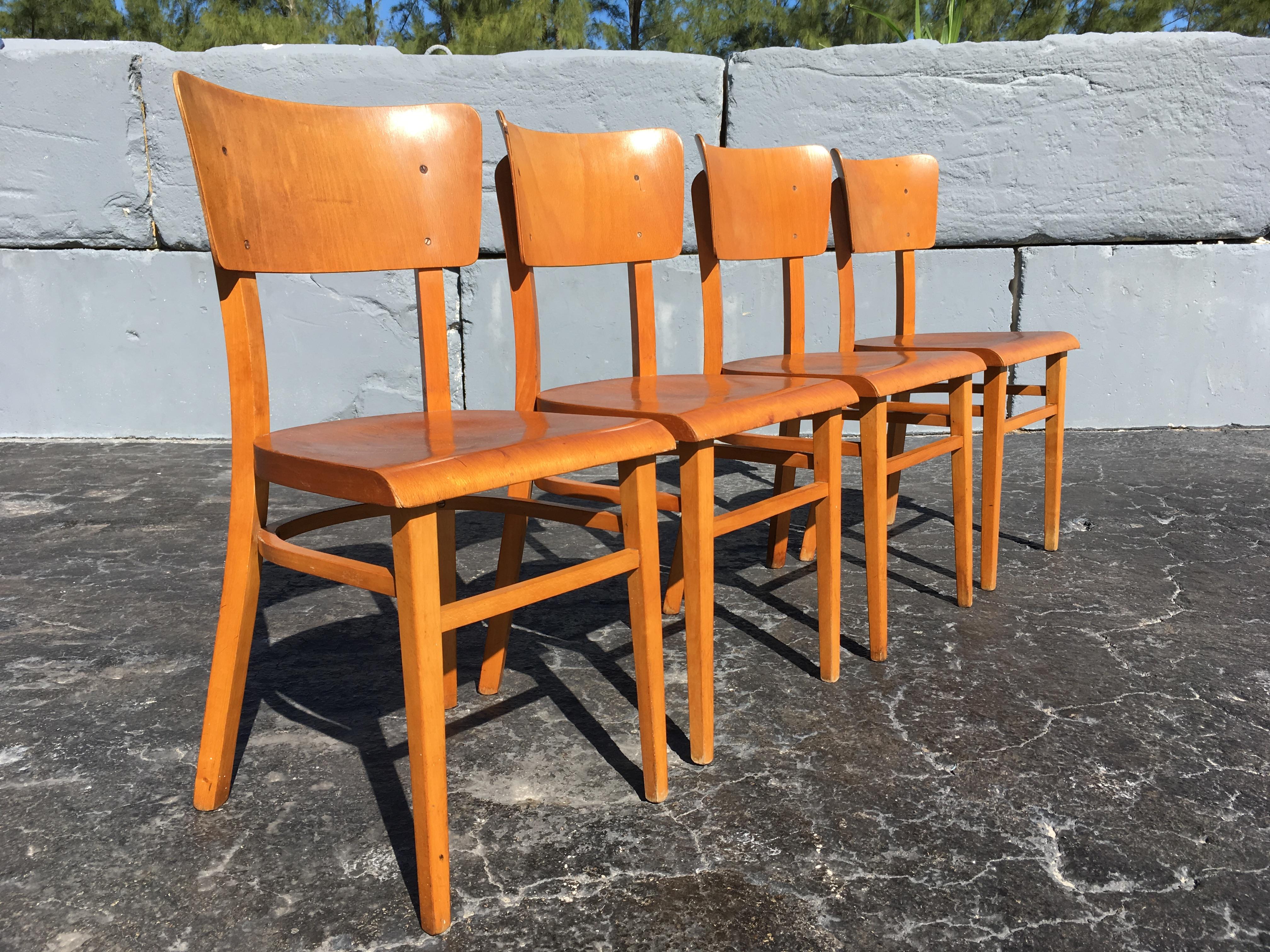 Tchèque Ensemble de quatre chaises de cuisine en bentwood, années 1950 en vente