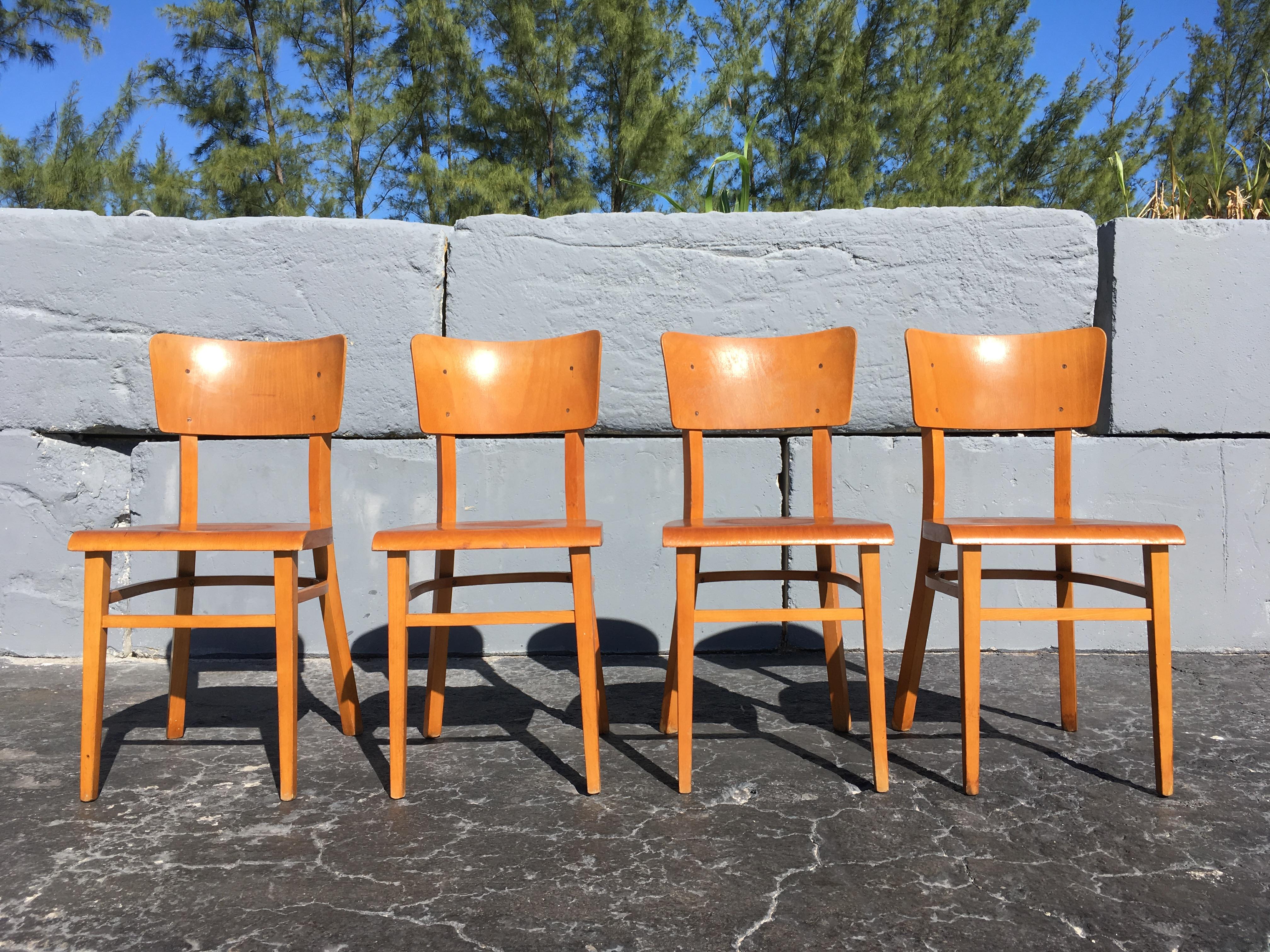 Czech Set of Four Beautiful Bentwood Kitchen Dining Chairs, 1950s For Sale