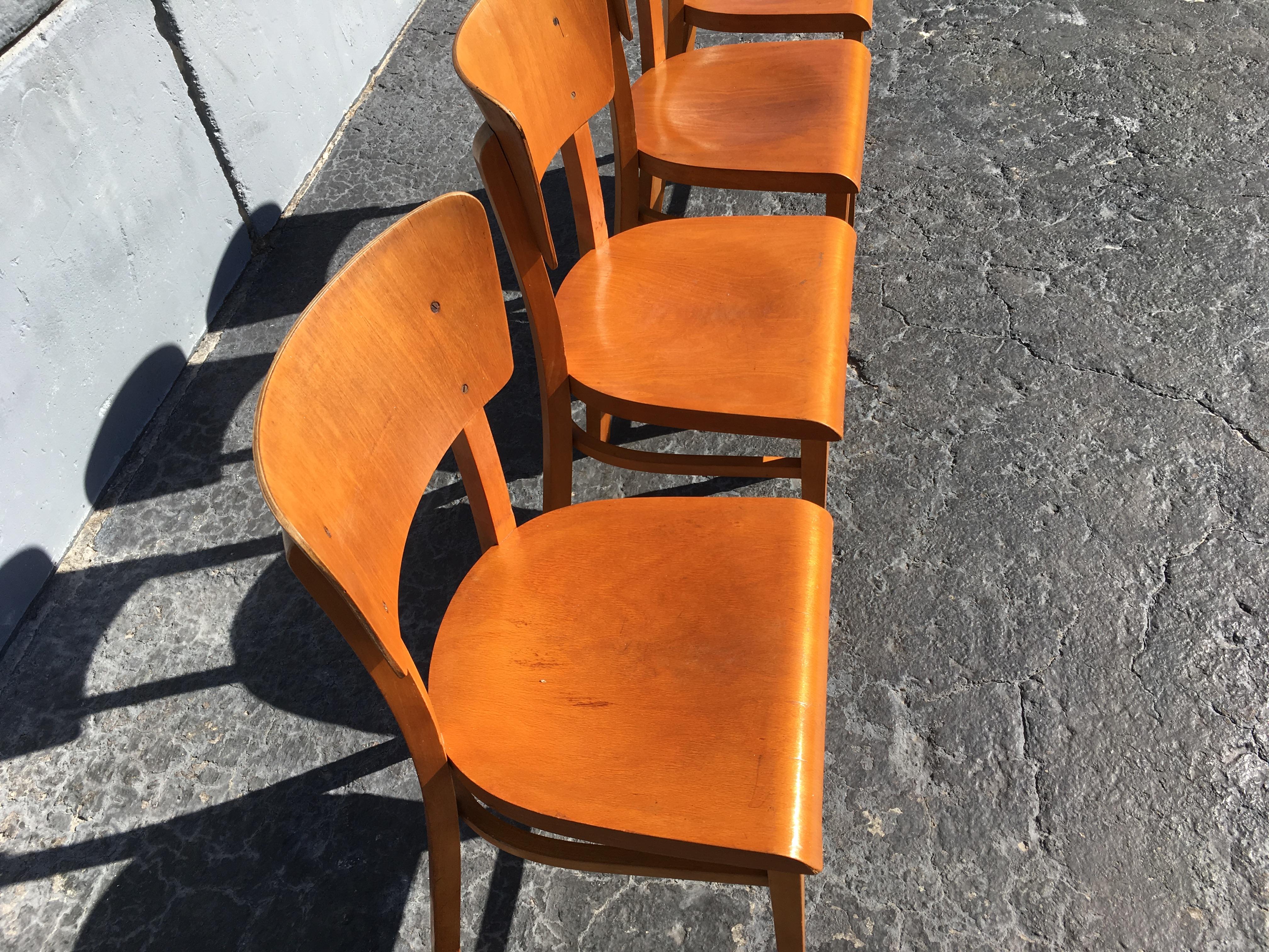 Ensemble de quatre chaises de cuisine en bentwood, années 1950 en vente 1