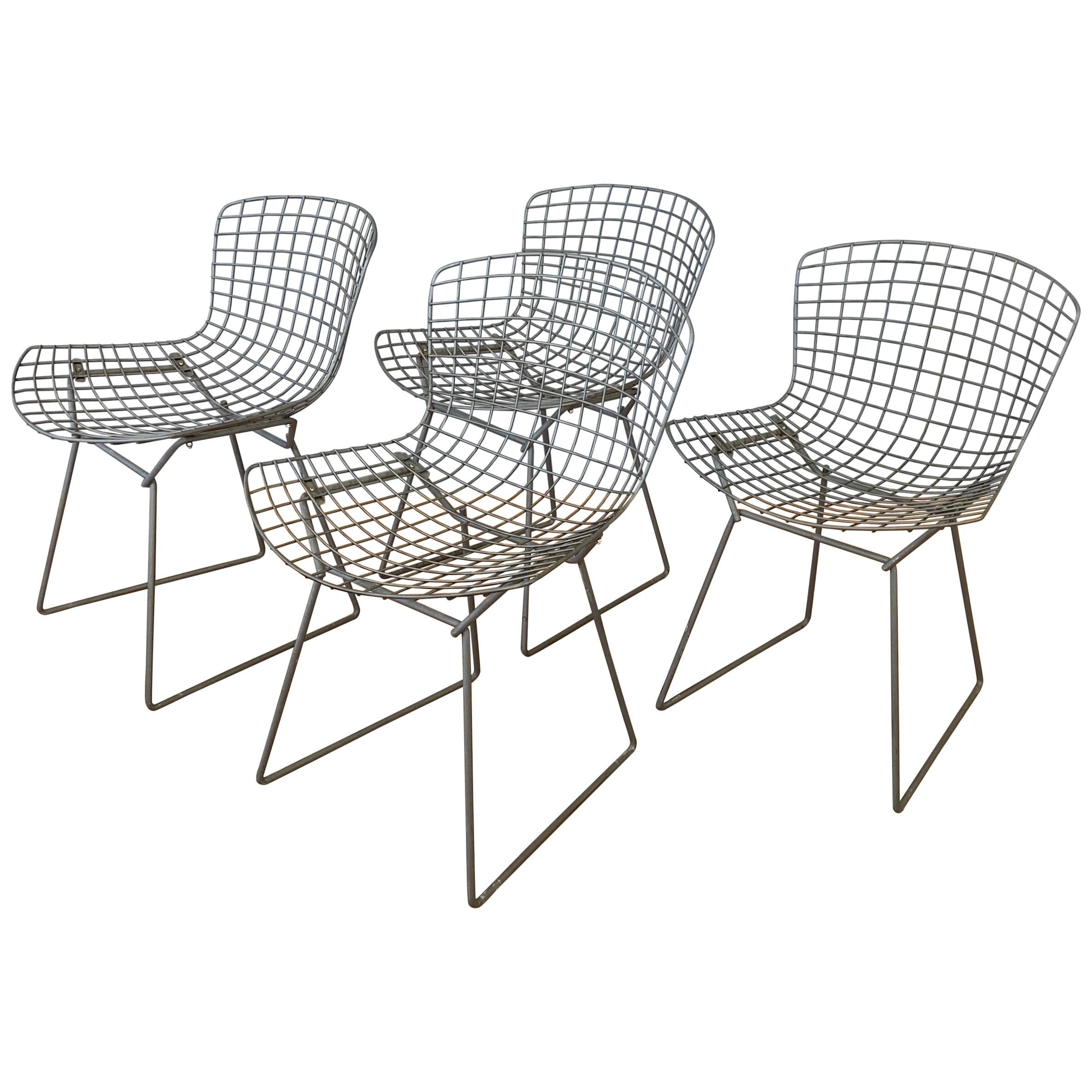 Set of Four Bertoia for Knoll Grey 420C Side Chairs, Early 1980s
