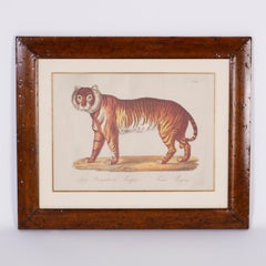 Set of Four Big Cat Prints