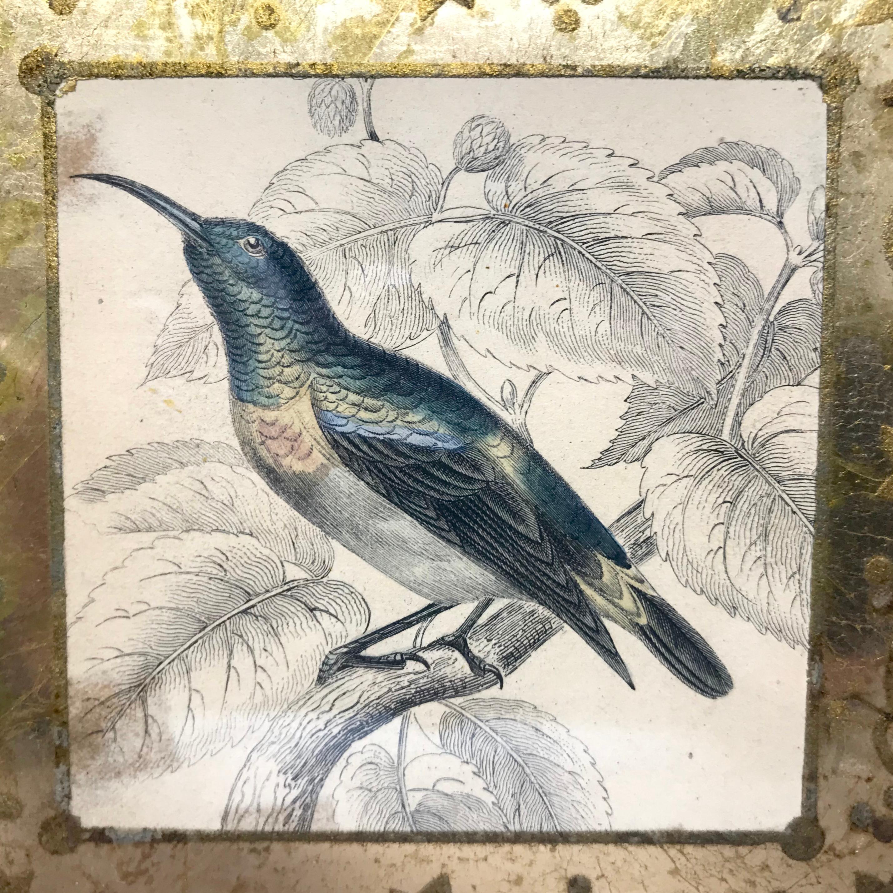 Set of Four Bird Engravings In Good Condition In New York, NY