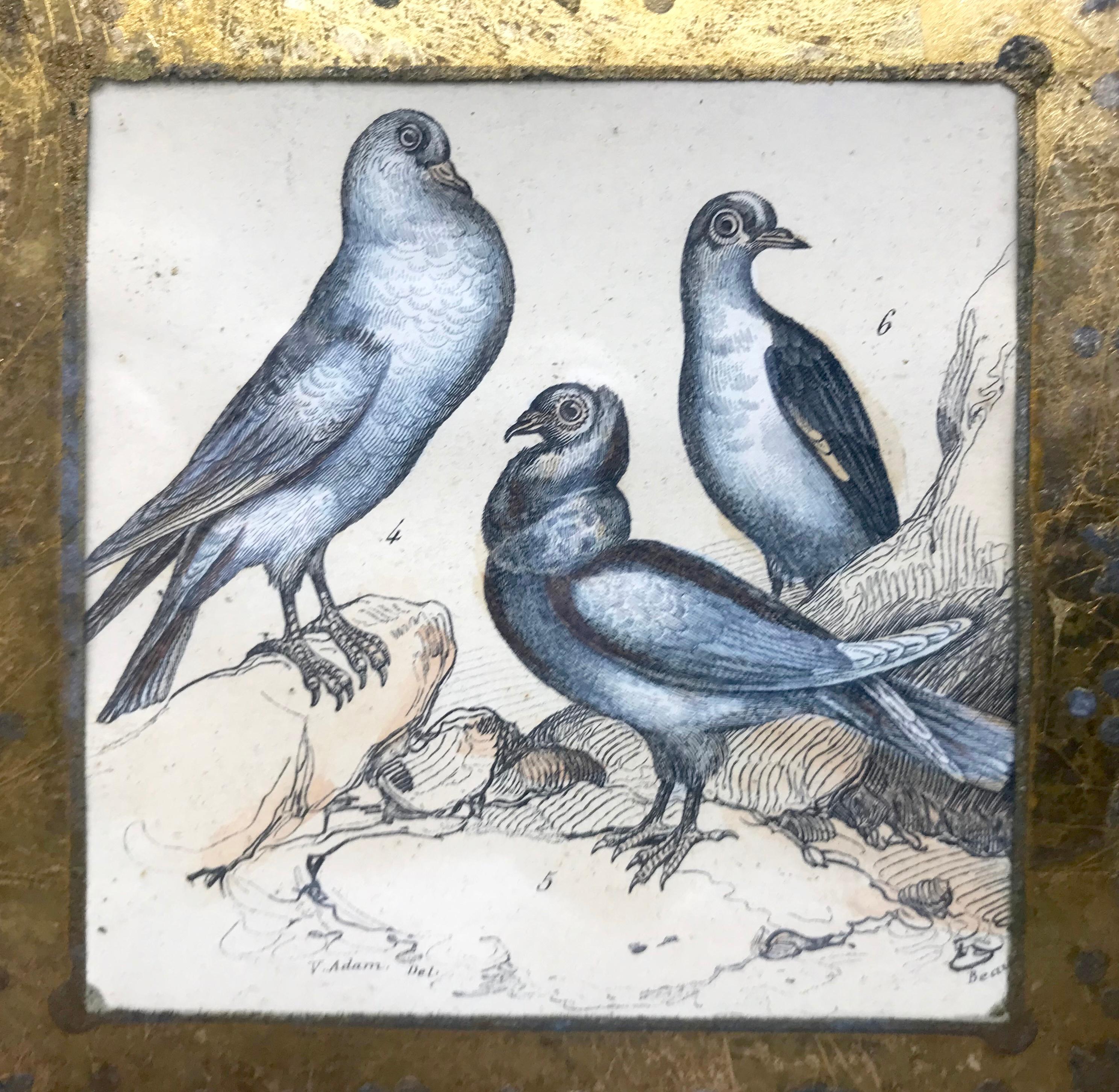 Paper Set of Four Bird Engravings