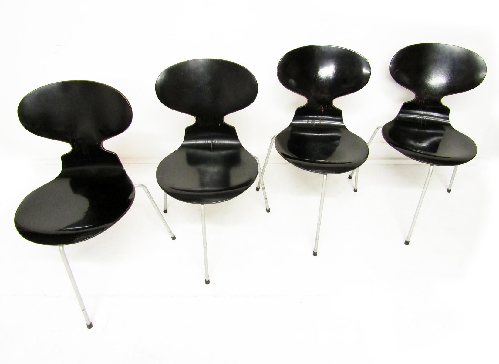 Set of Four Black 1950s Danish Ant Chairs by Arne Jacobsen for Fritz Hansen 8