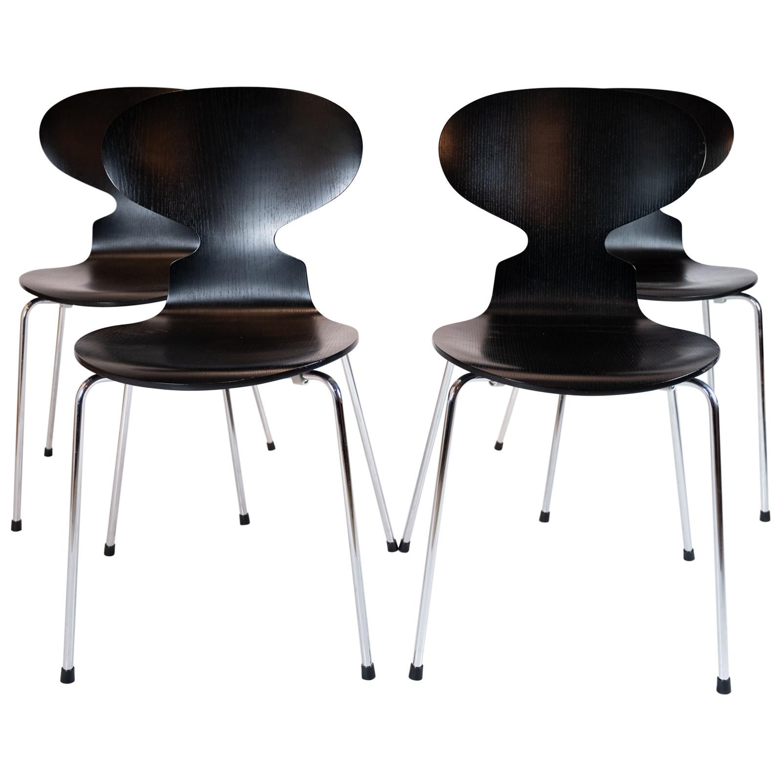 Set of Four Black Ant Chairs, Model 3101, Designed by Arne Jacobsen in 1952